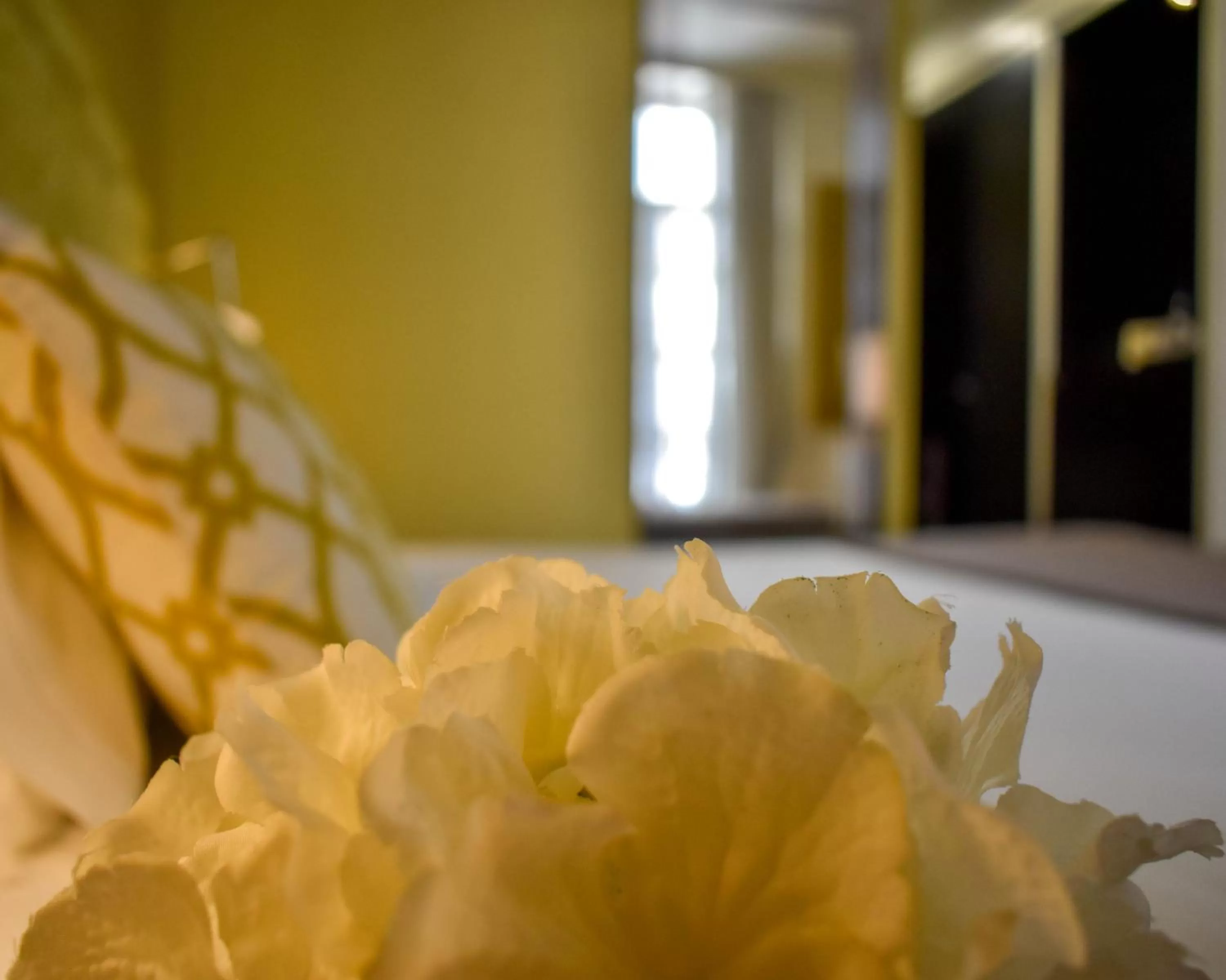 Decorative detail, Bed in Universal Boutique Hotel