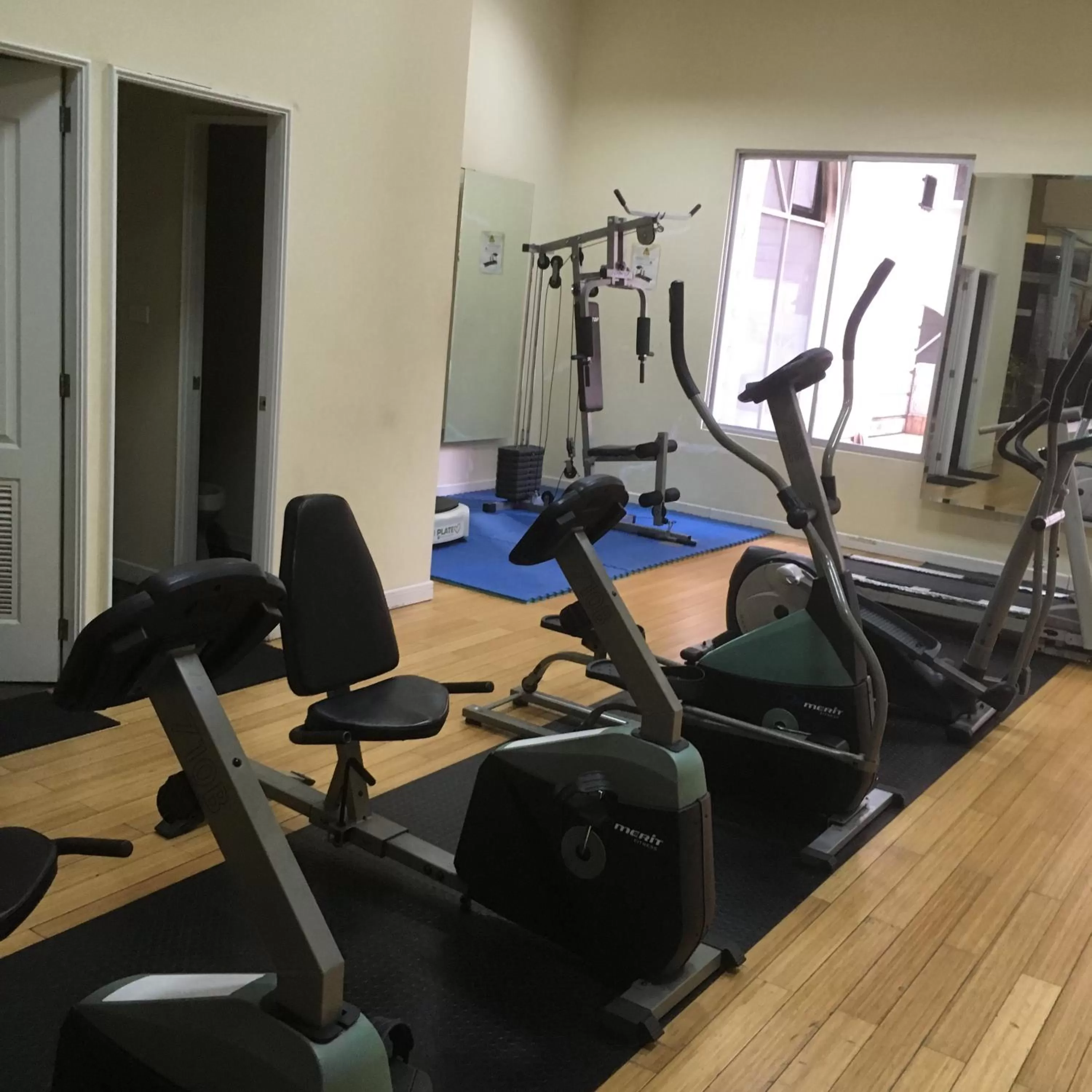 Fitness centre/facilities in Suites Parque Real