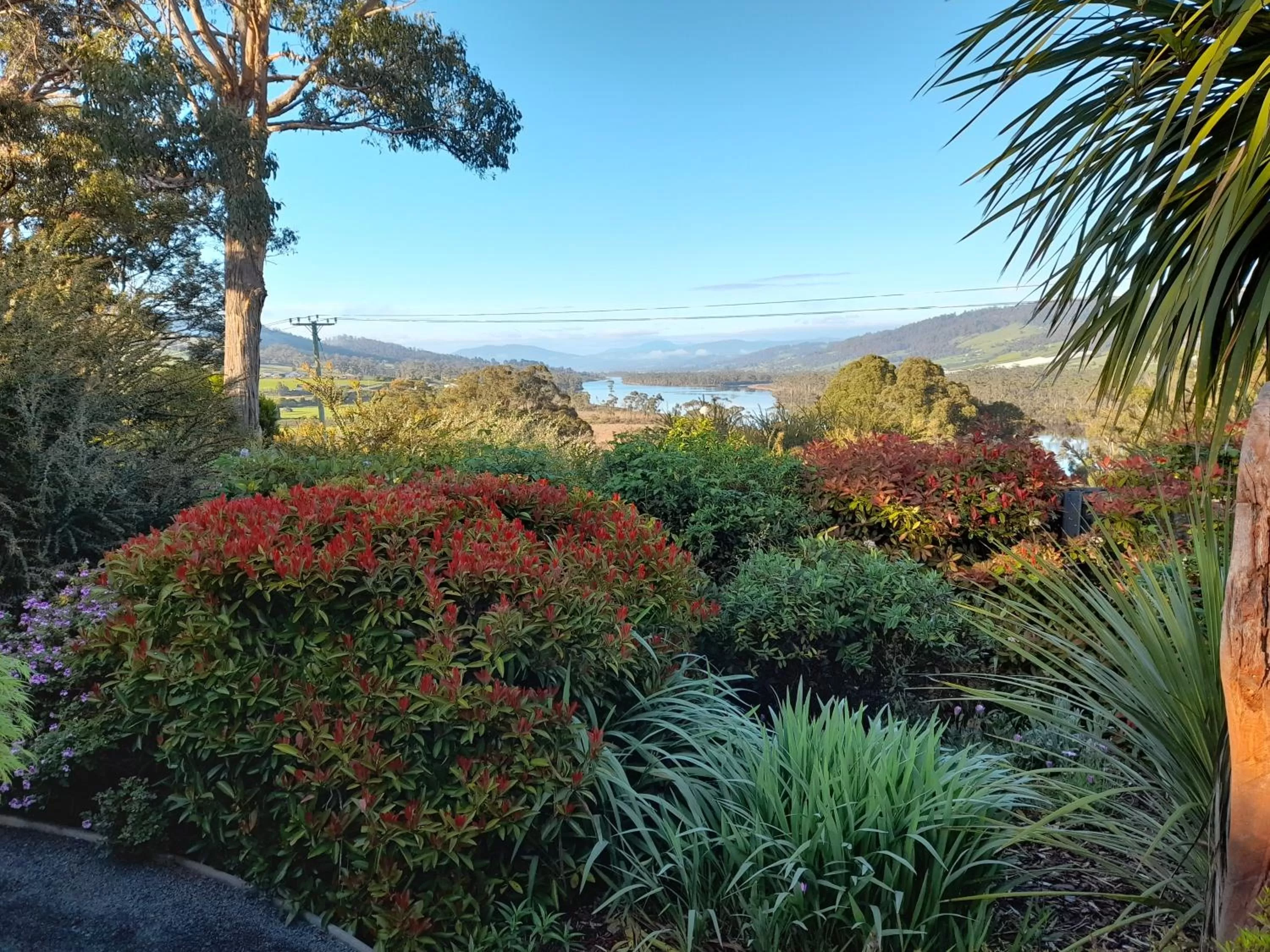 Hillside Bed and Breakfast