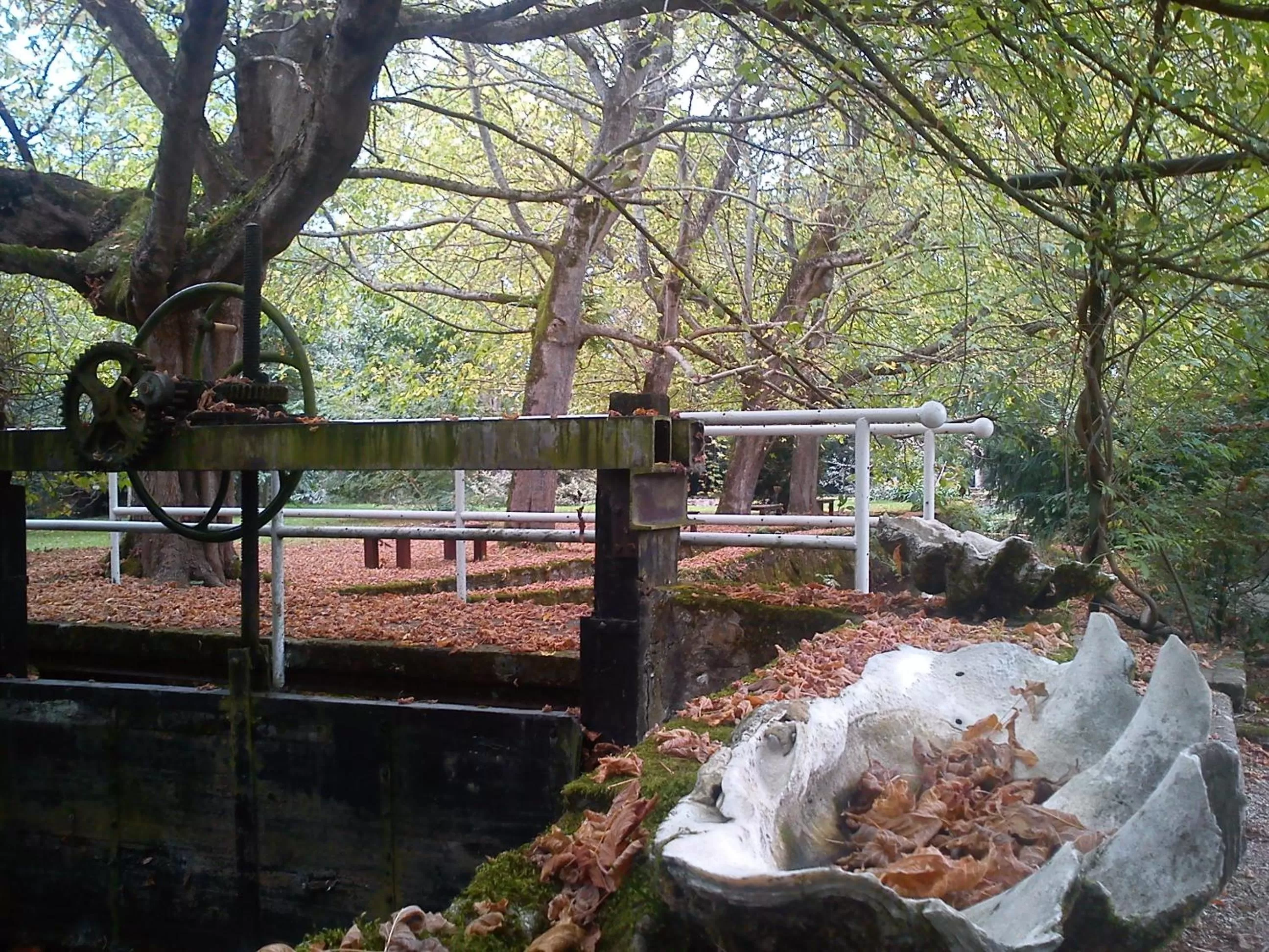 Activities in Jardin de Carrejo