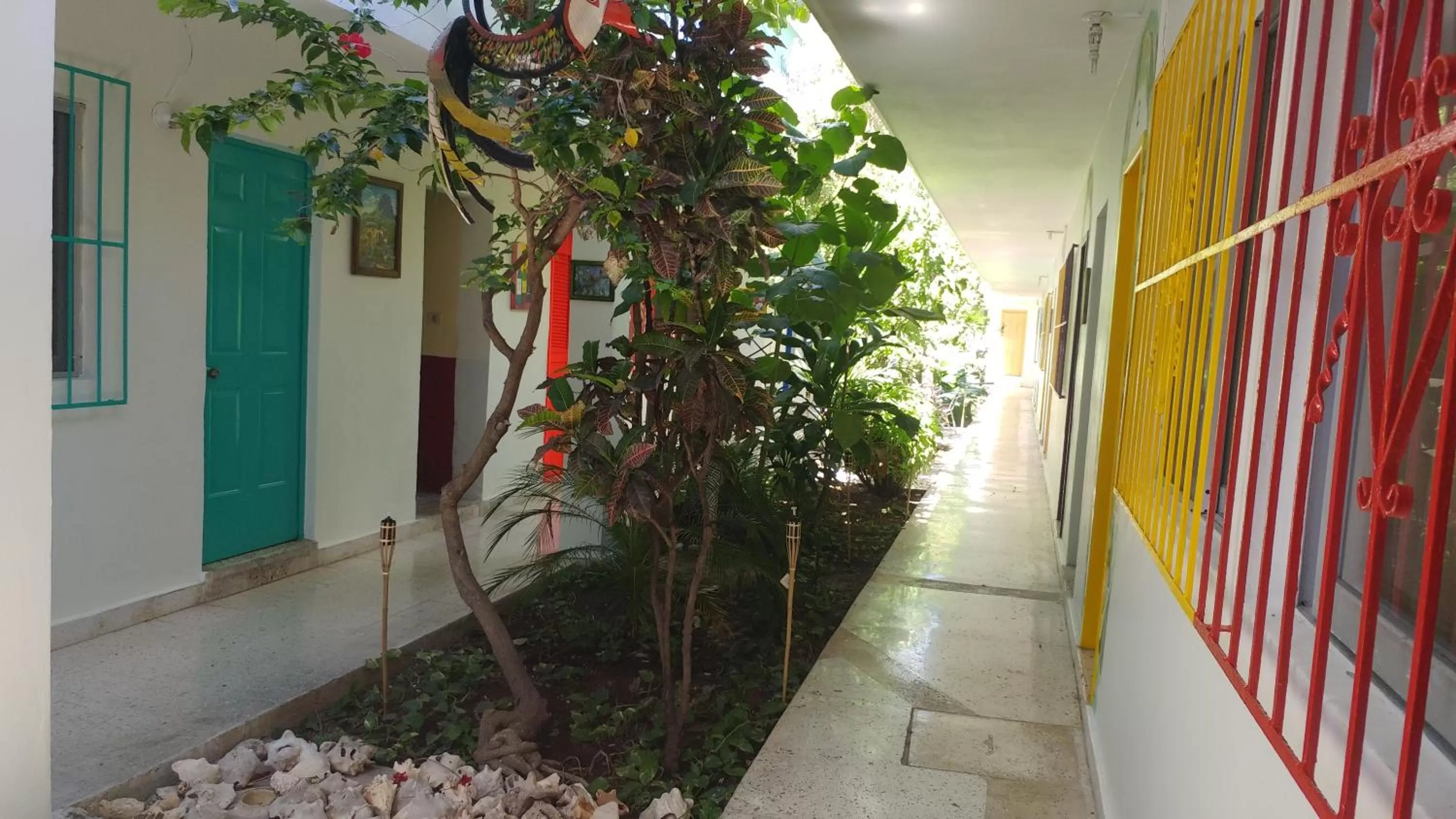 Garden view in Hotel Posada Edem