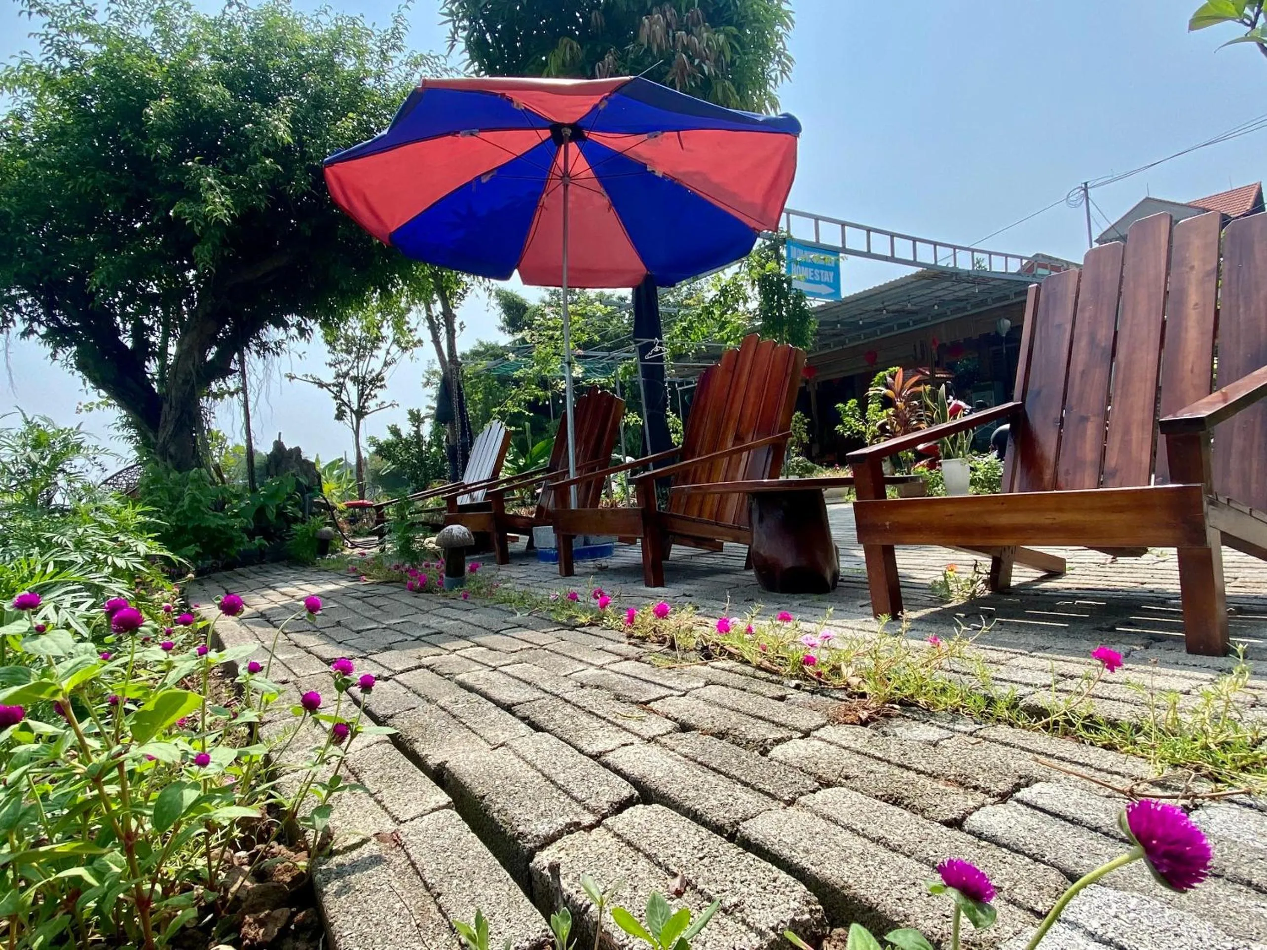 Tam Coc Mountain View Homestay