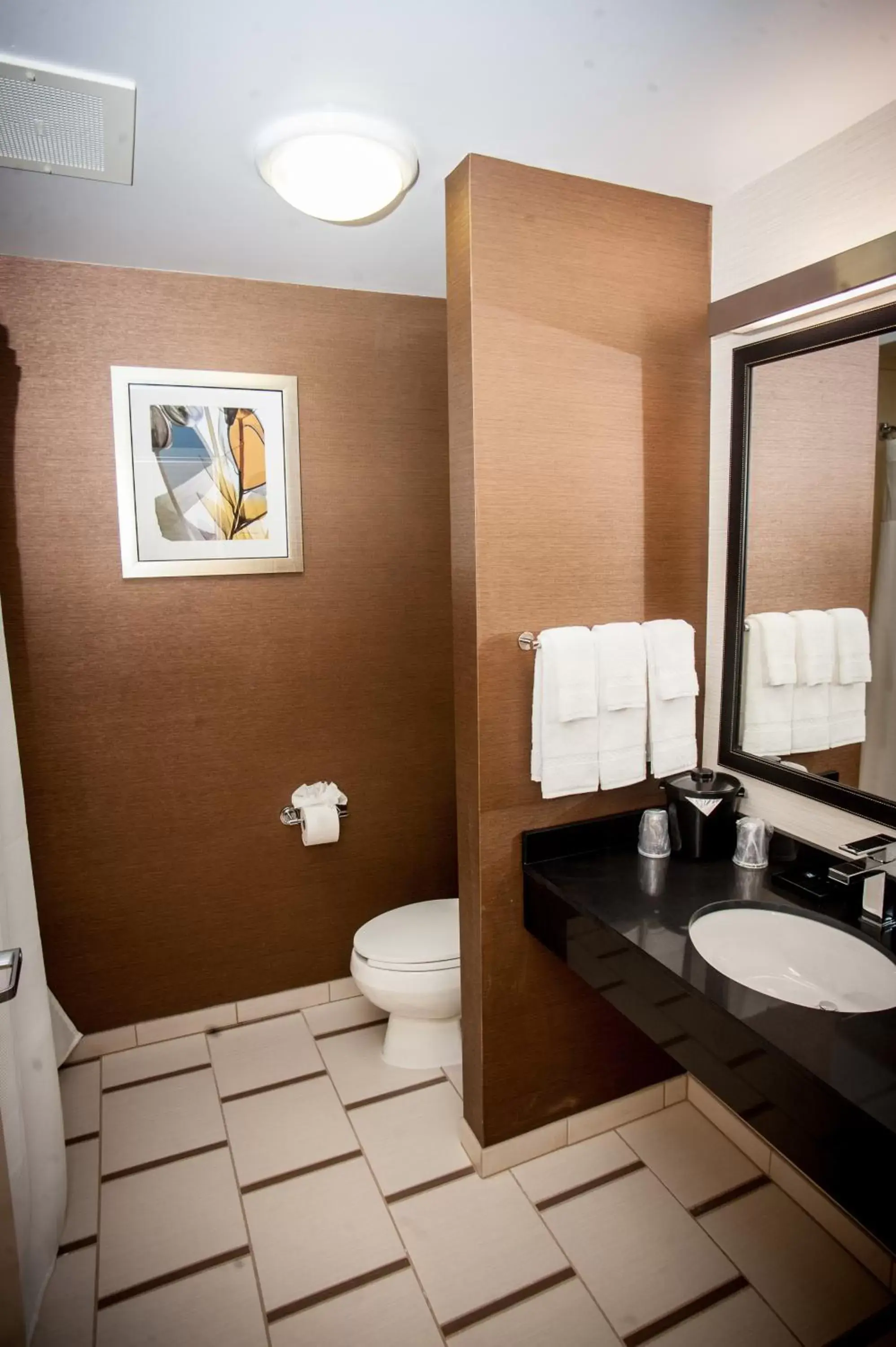 King Suite - Non Smoking in Comfort Inn & Suites South Akron King Suite - Non Smoking in Comfort Inn & Suites South Akron