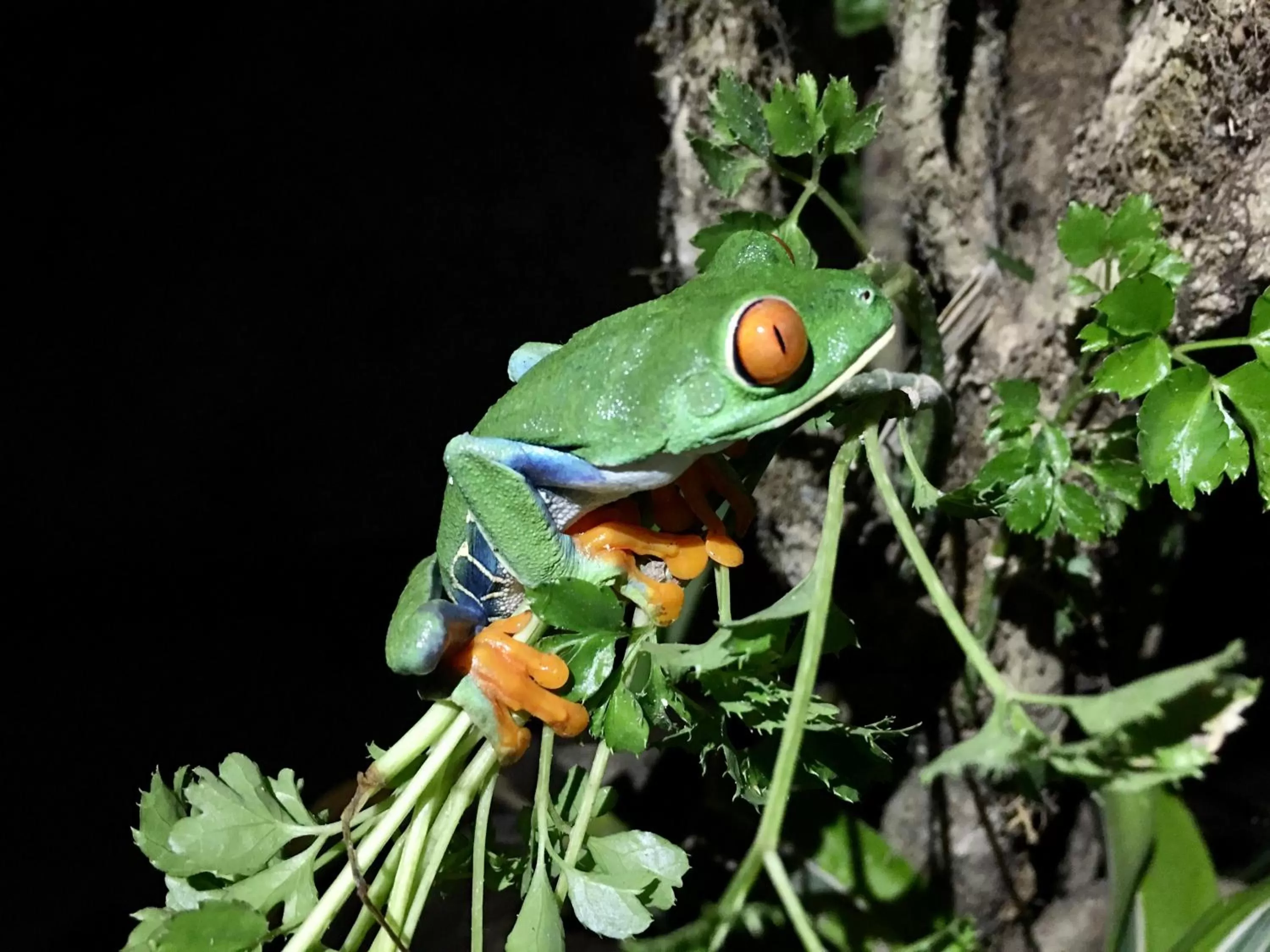 Hotel Kokoro Mineral Hot Springs