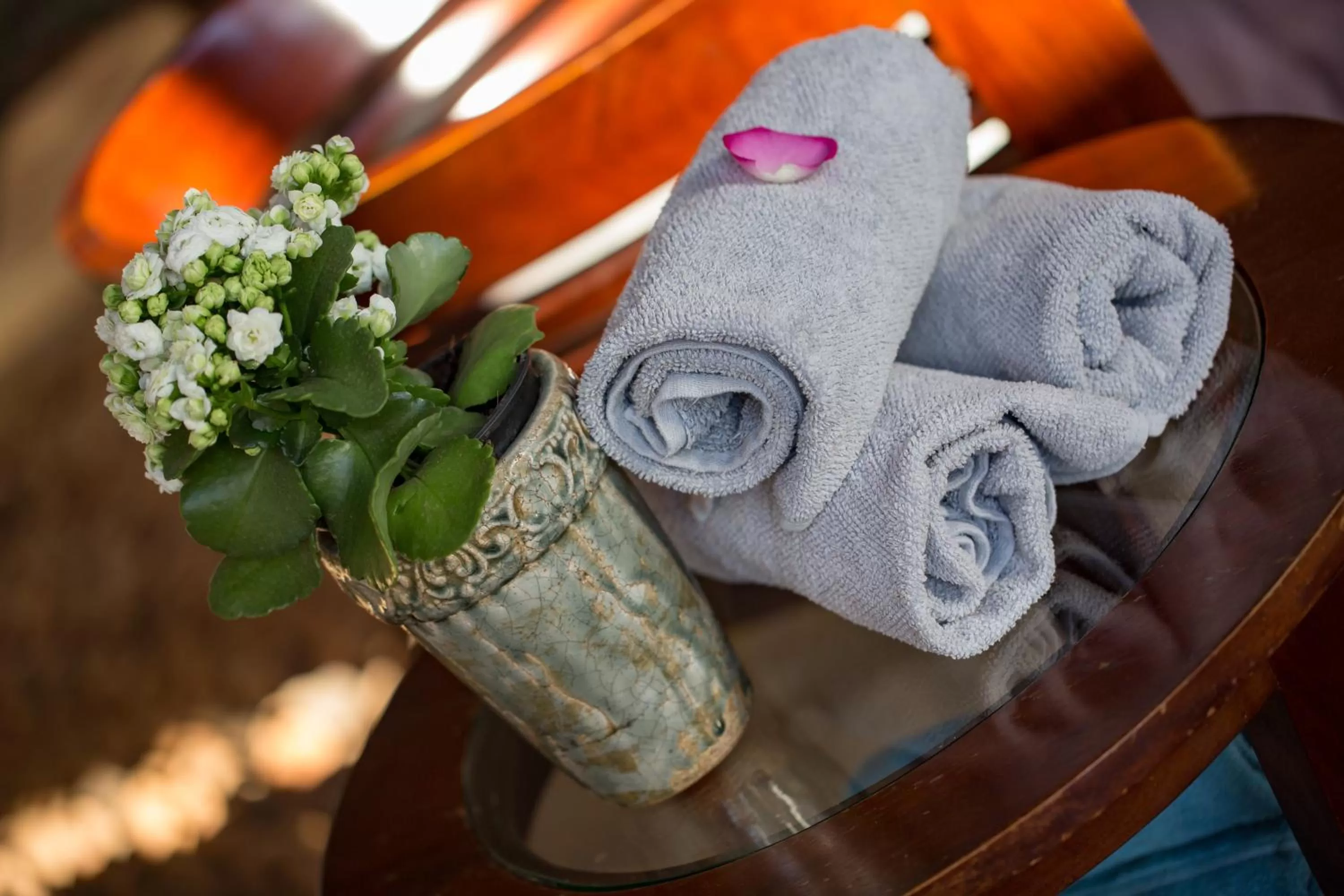 Spacube Luxury Suites and Spa