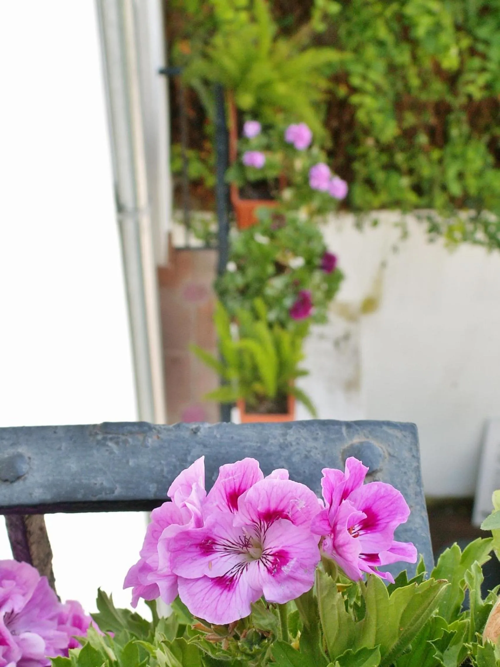 Balcony/Terrace in Oasis Backpackers' Hostel Granada
