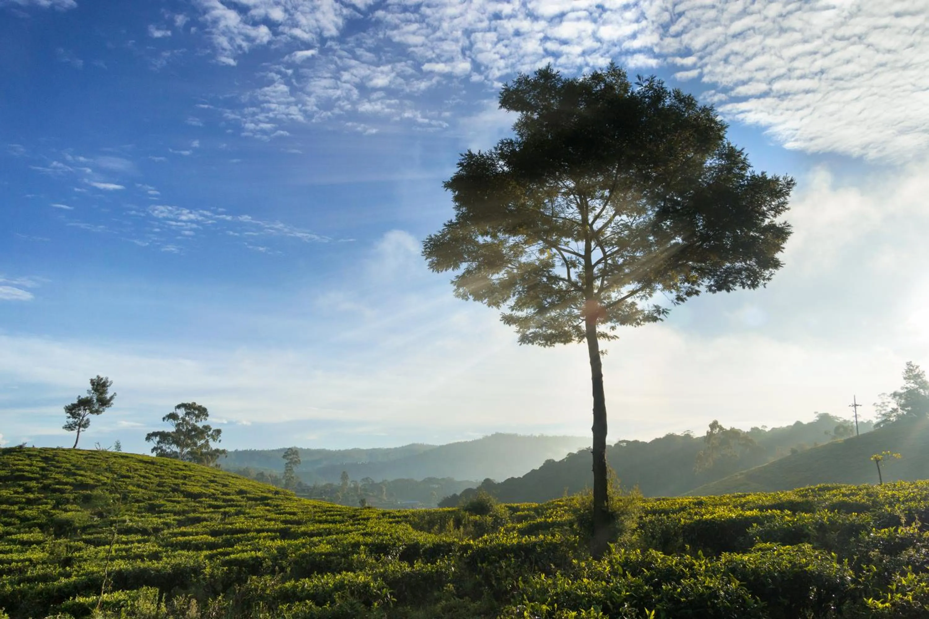 Mountain view in Kent Cottage