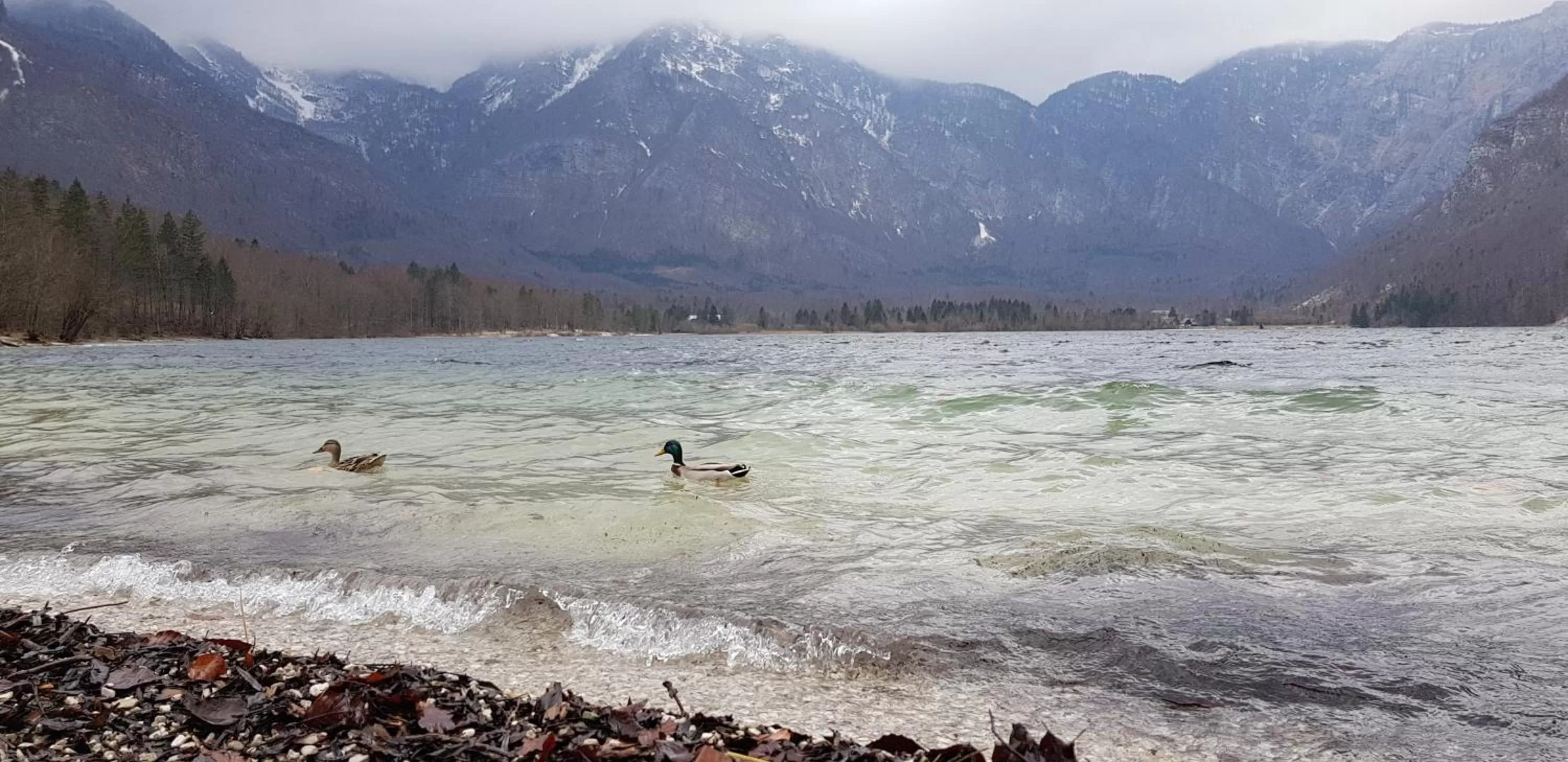 Hiking in Hotel GH Kolinska