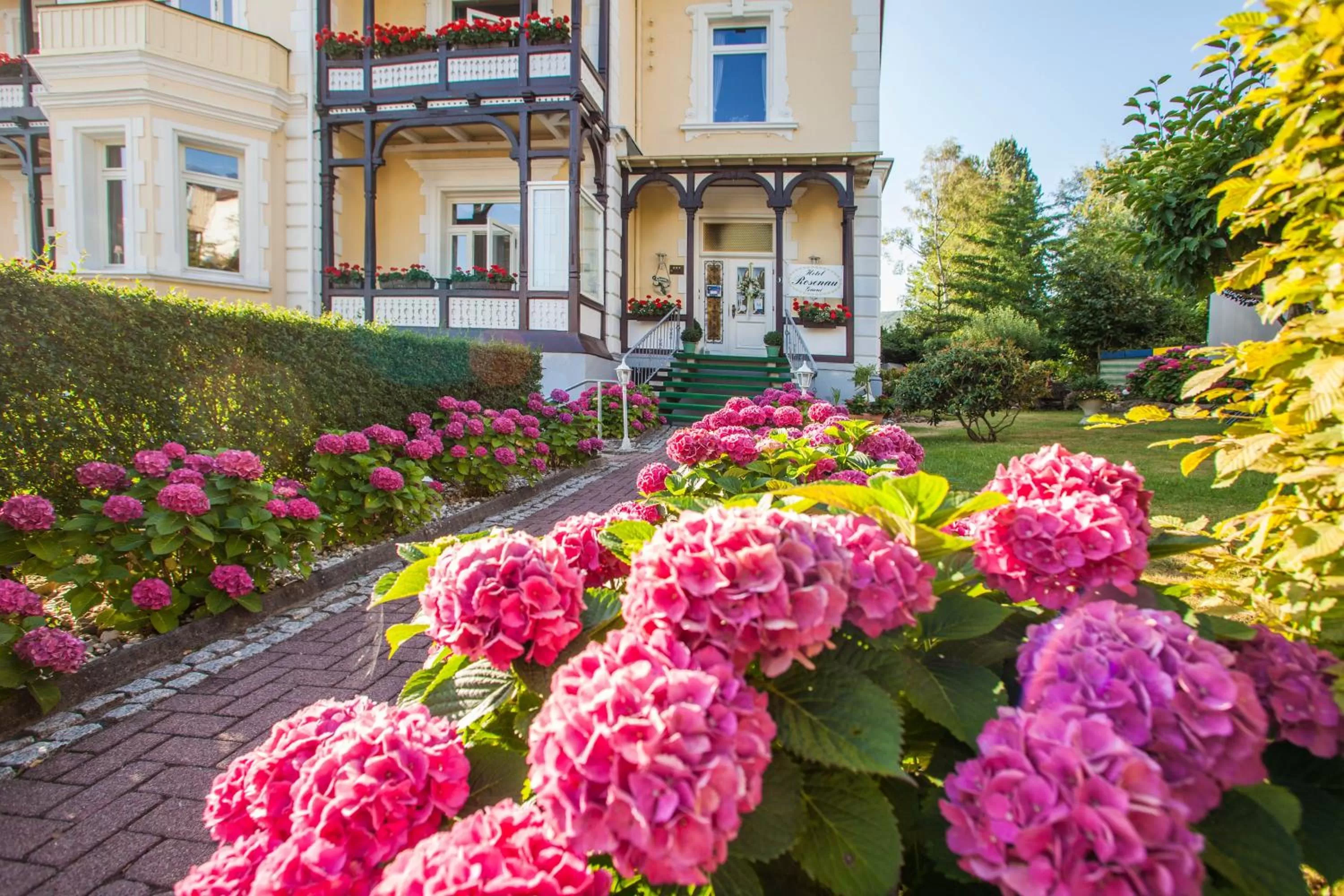 Garden in Hotel Rosenau