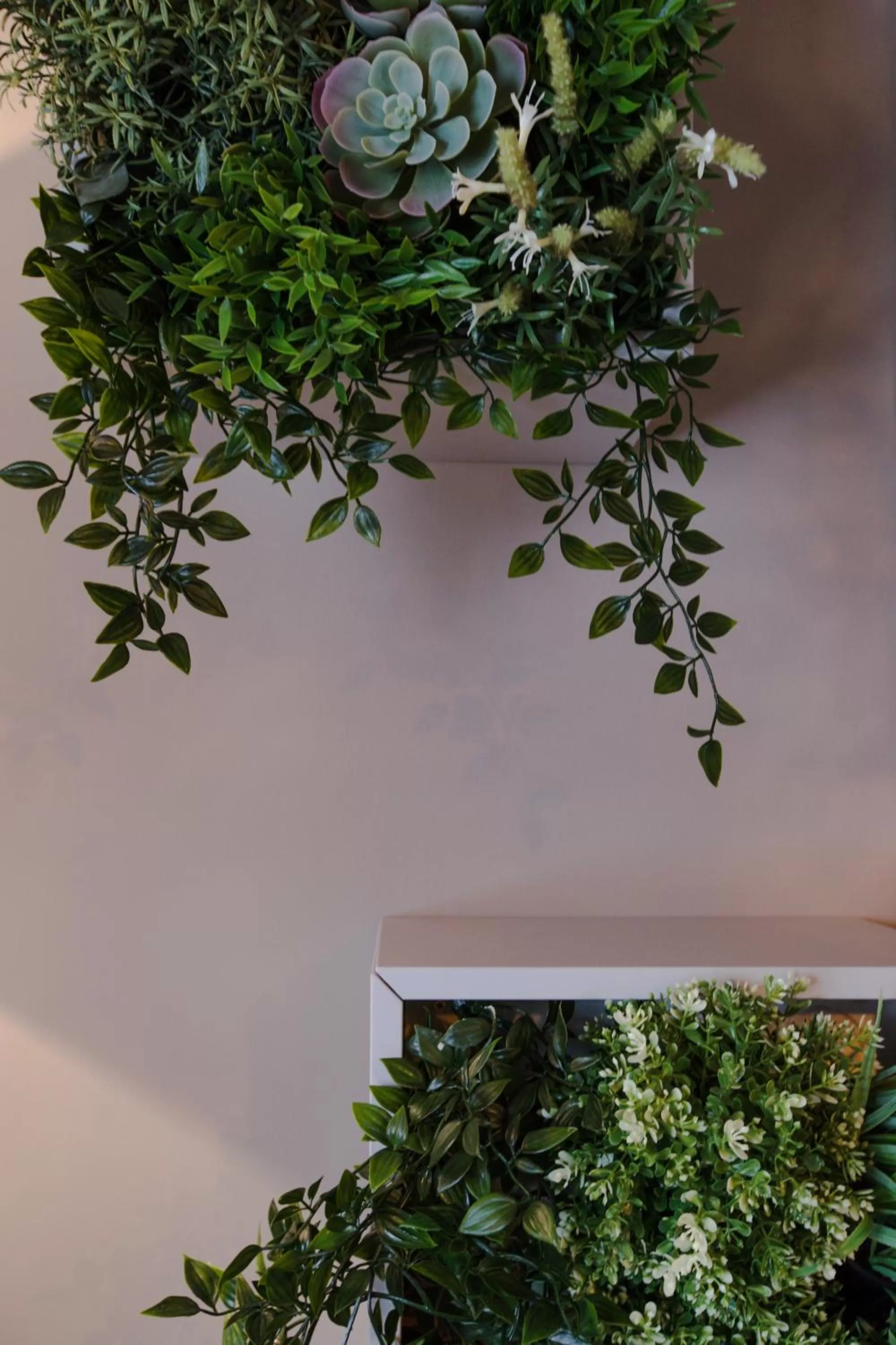 The Wheatsheaf Pub, Kitchen & Rooms