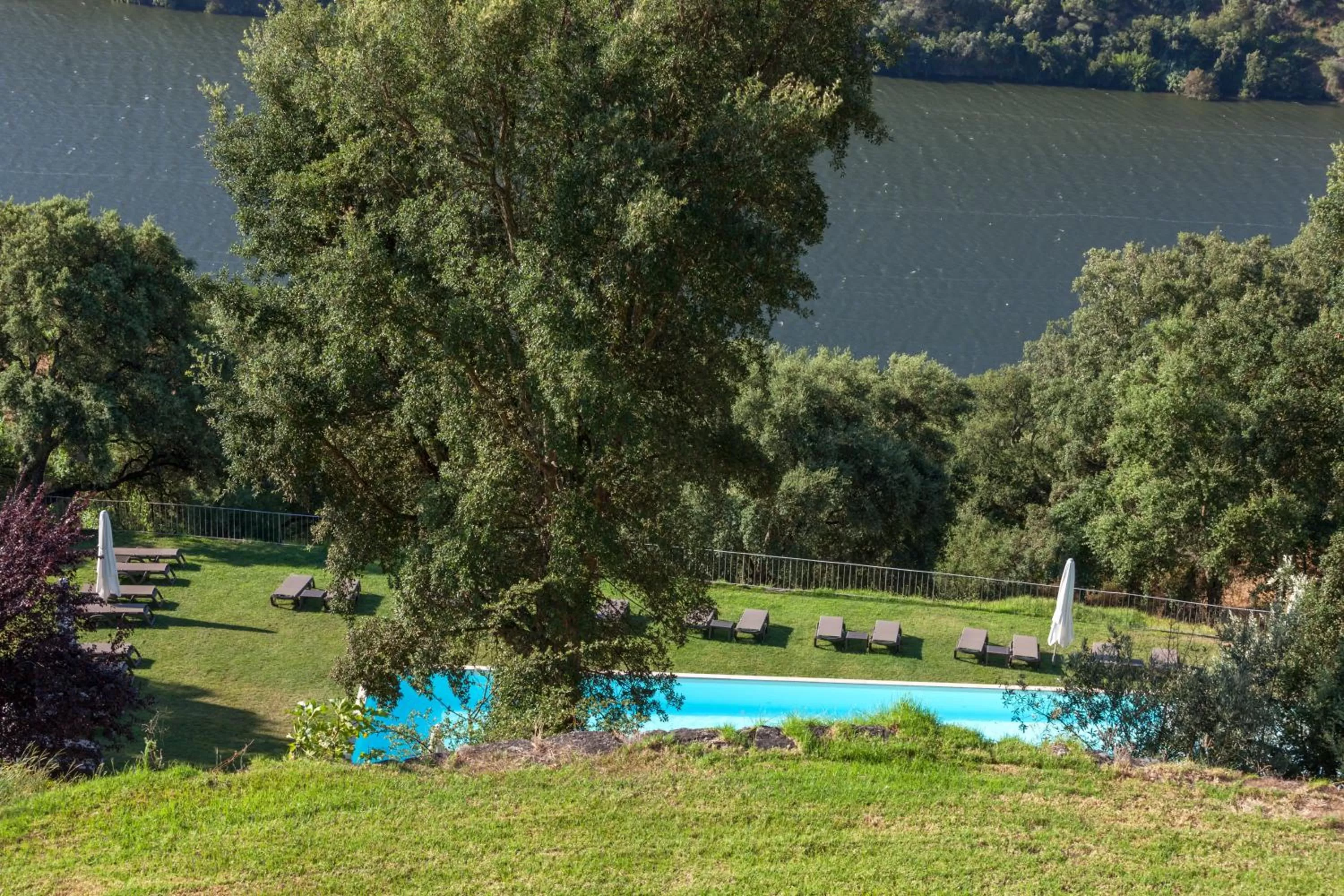 Swimming pool in Douro Palace Hotel Resort & SPA