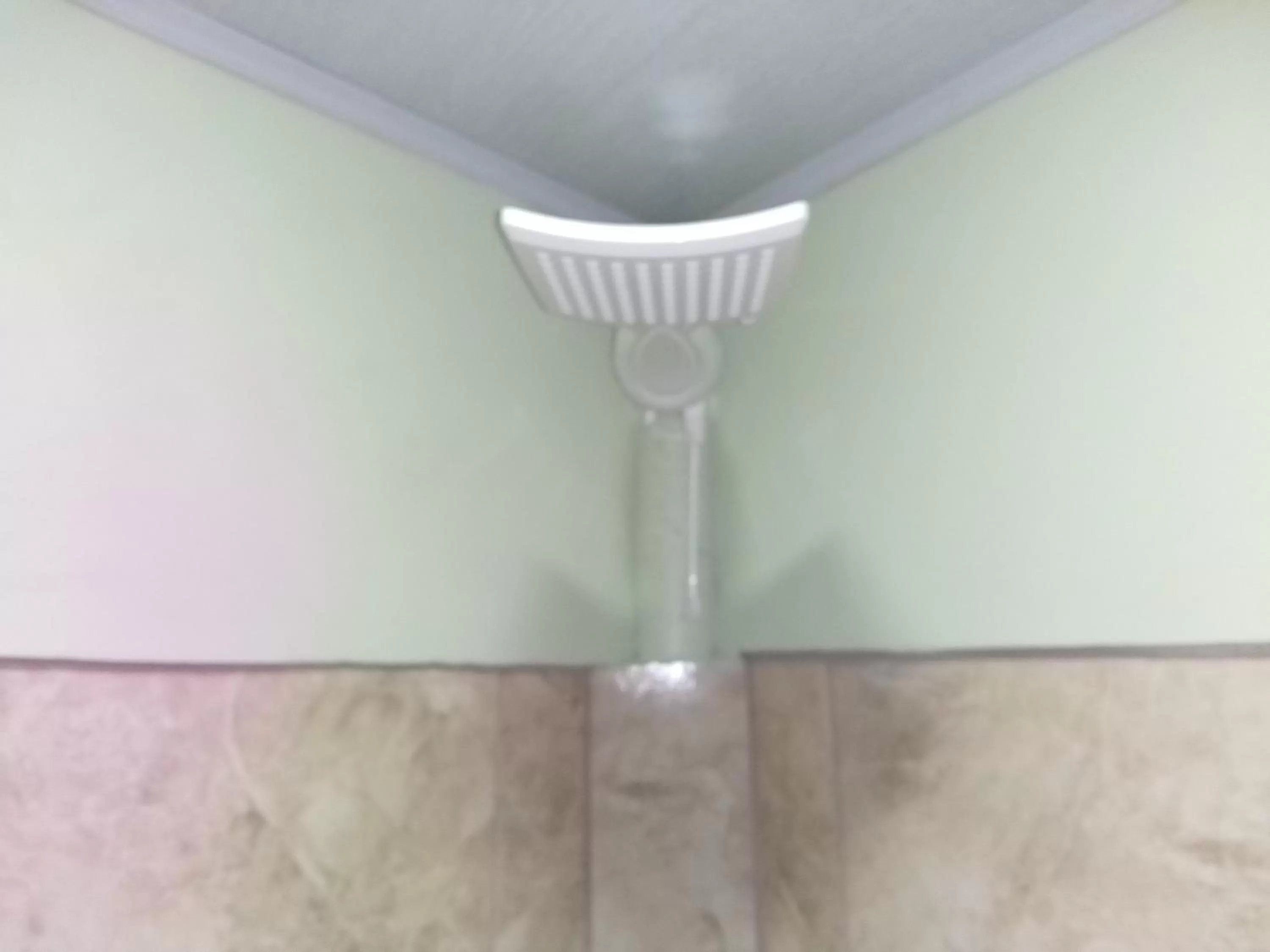 Shower, Bathroom in Alexander b&b