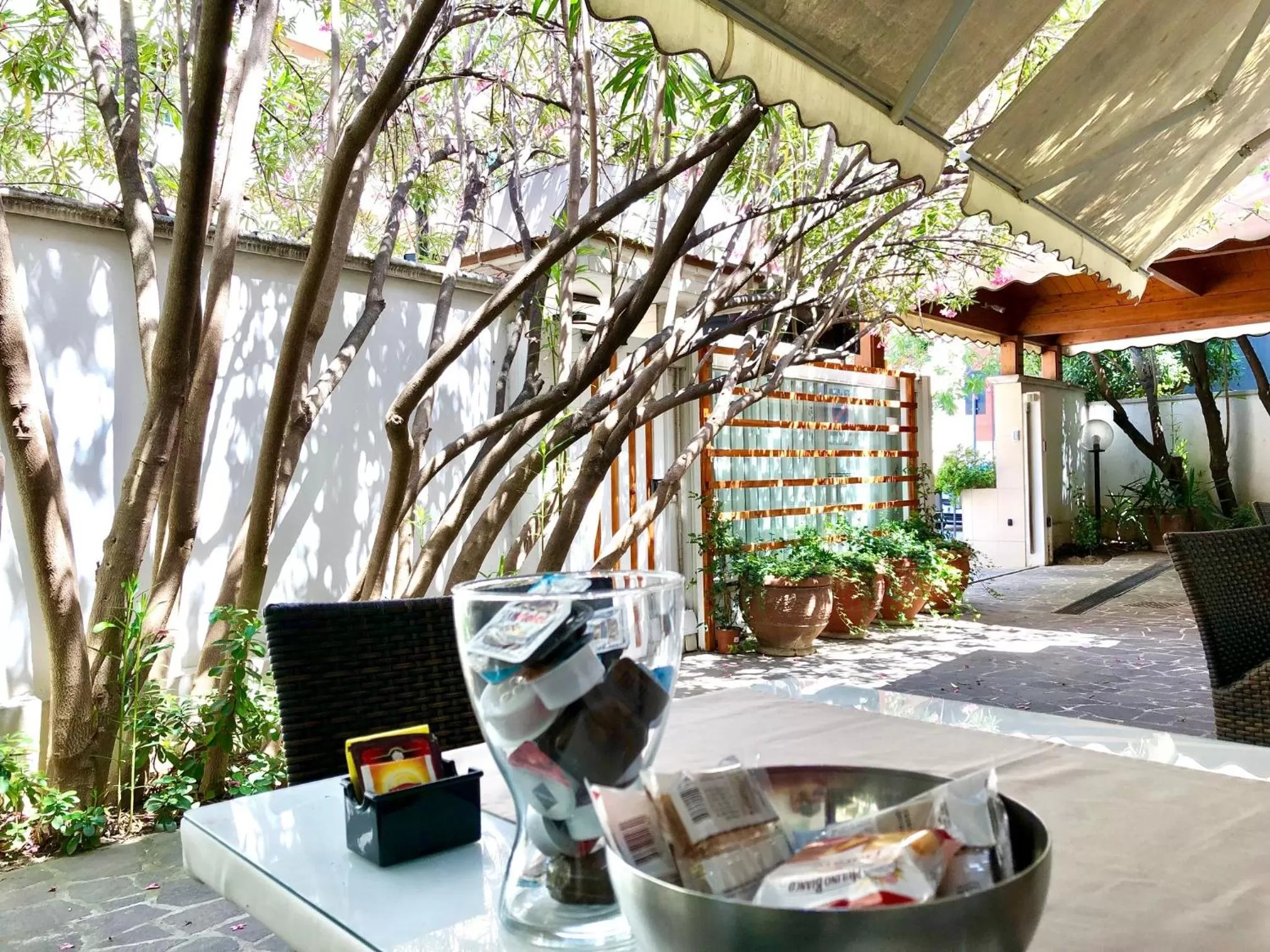 Garden in Villa Alba Boutique Hotel