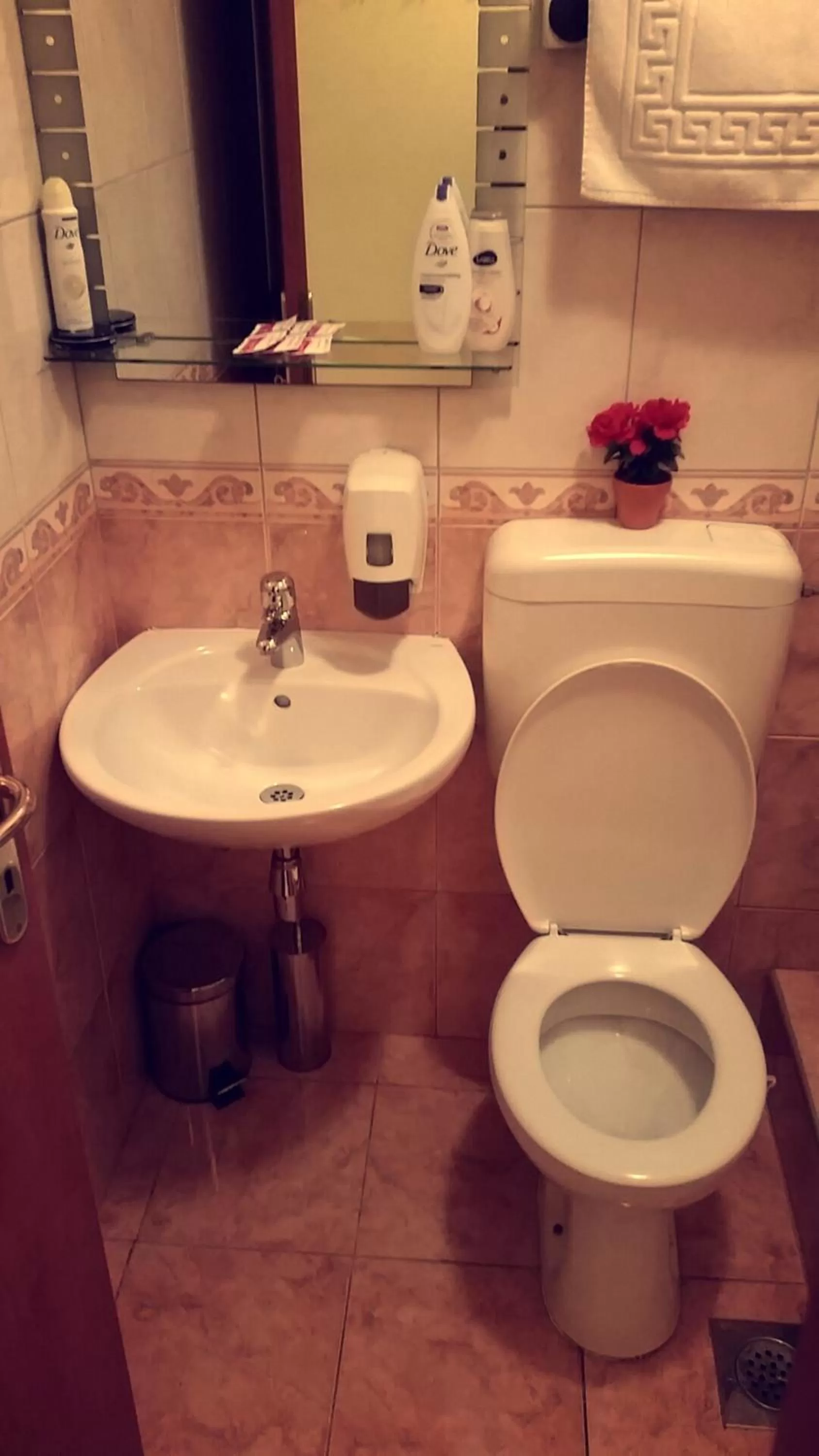 Bathroom in Motel Aura