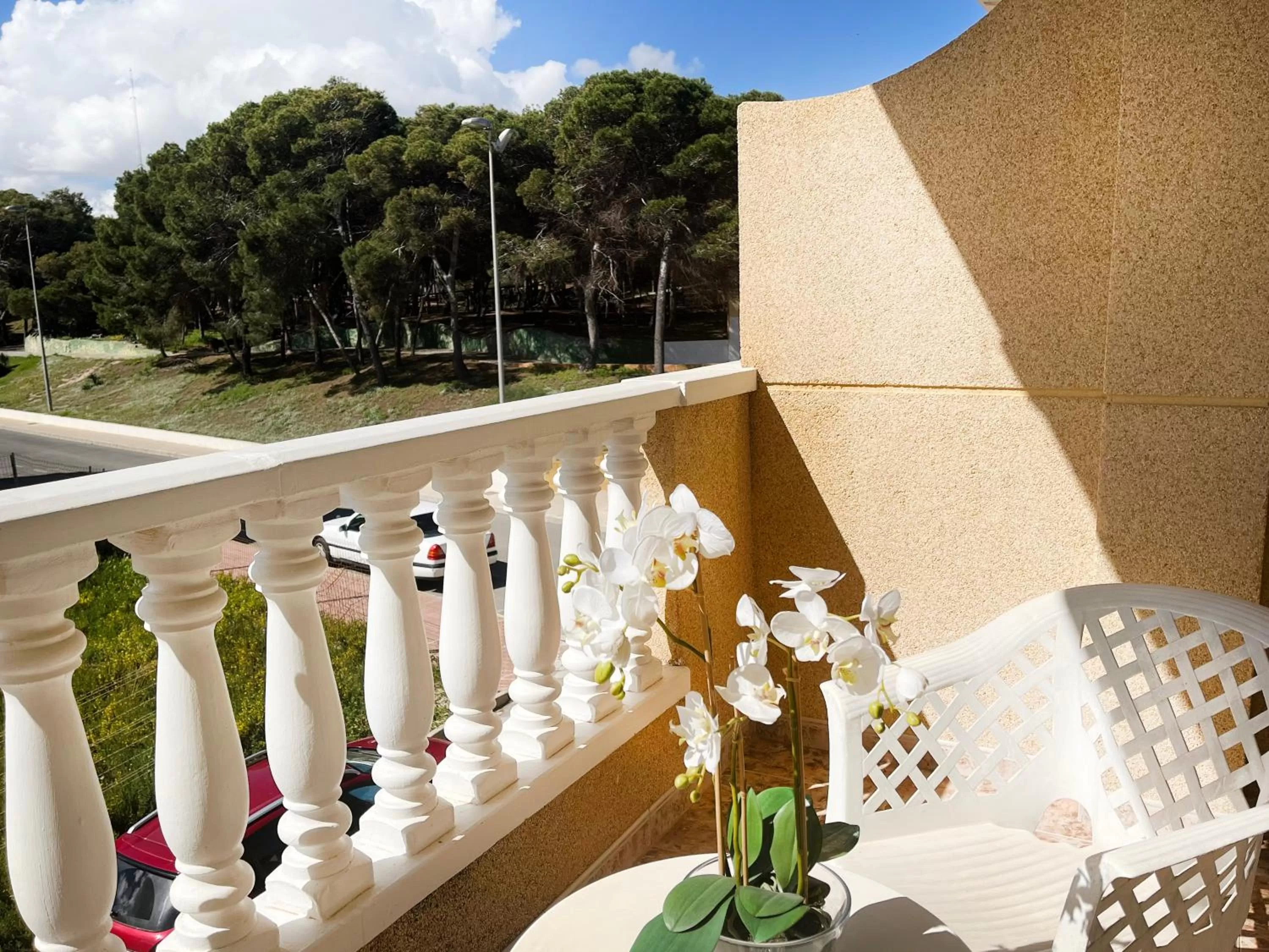 Balcony/Terrace in Hotel ParqueMar