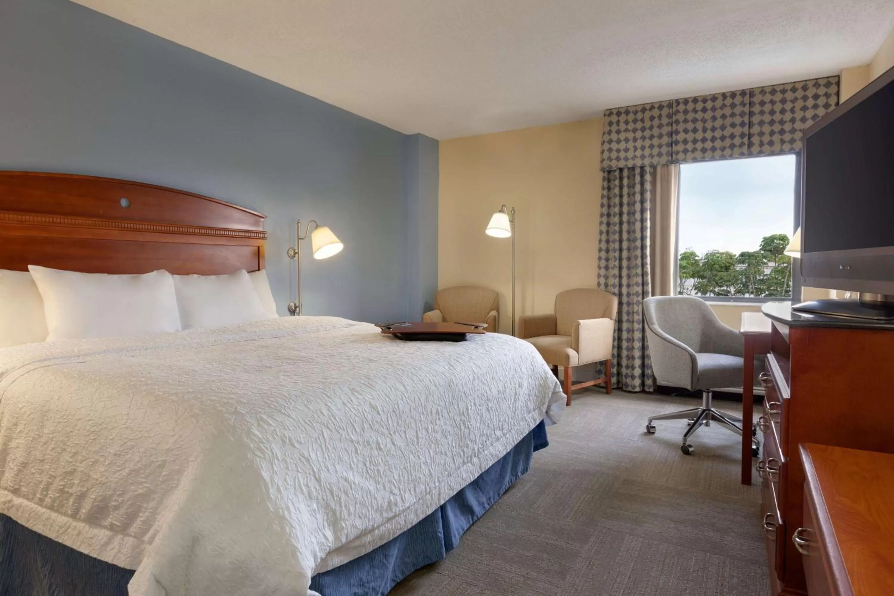 Standard Room, 1 King Bed in Hampton Inn Miami-Airport West