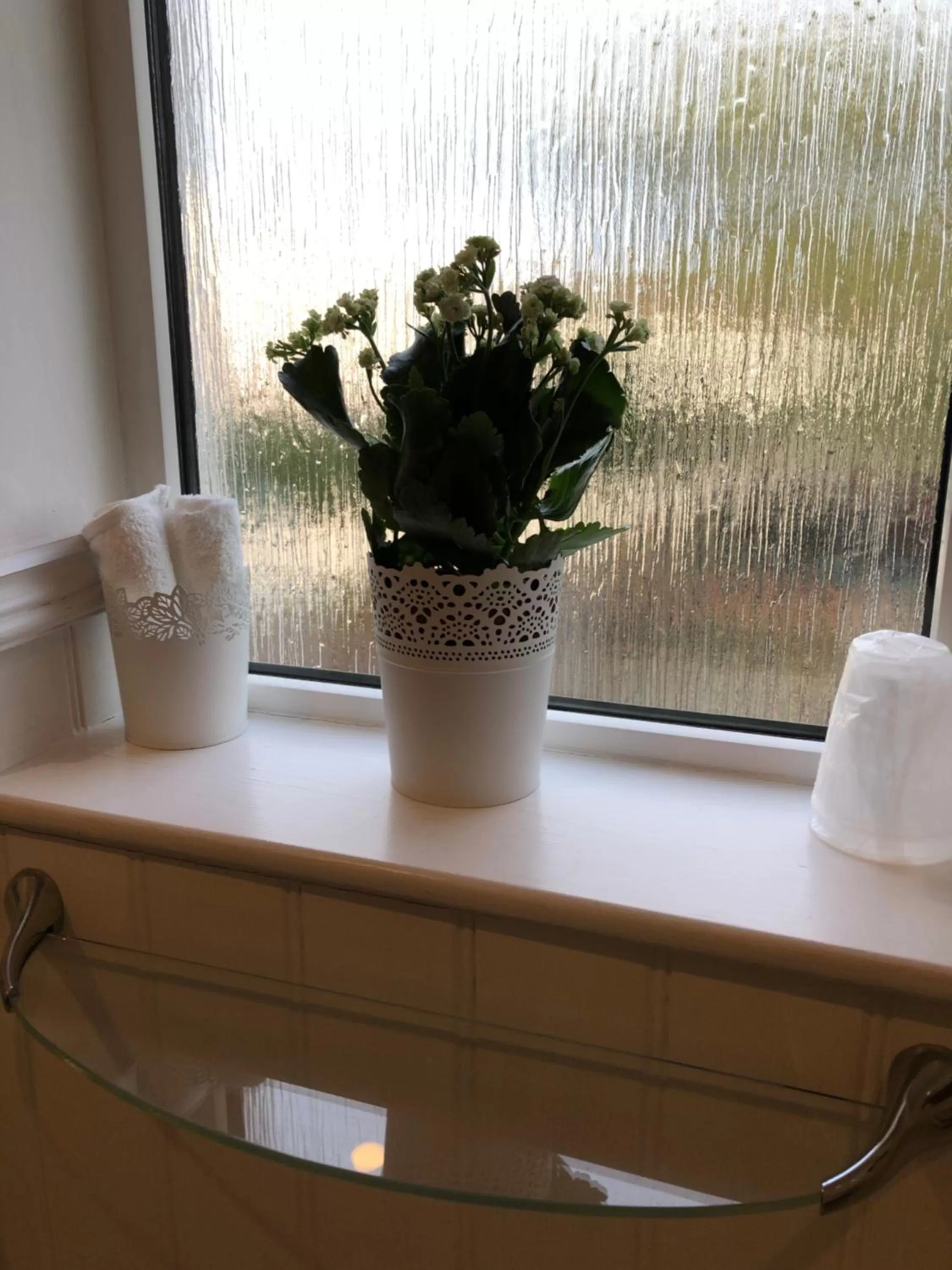 Bathroom in Websters Bed & Breakfast