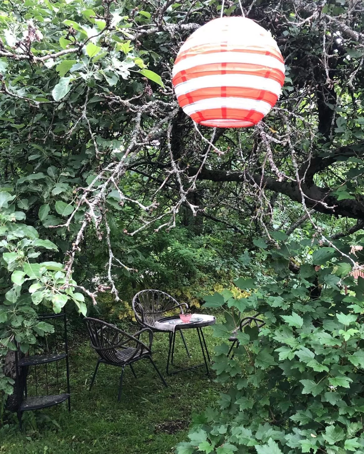 Garden view in Villa Lyckan