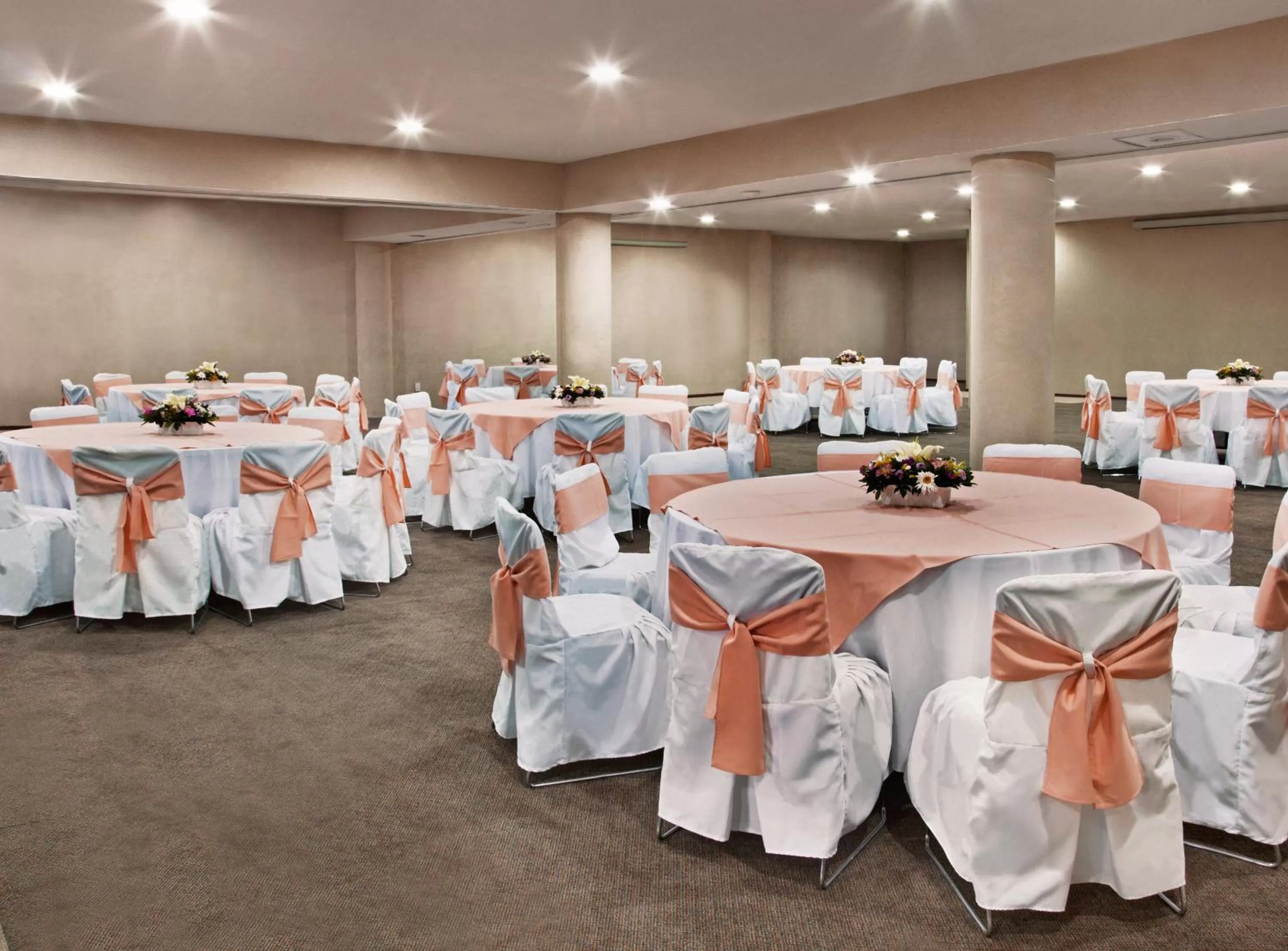 Banquet/Function facilities in Hotel Francia Aguascalientes