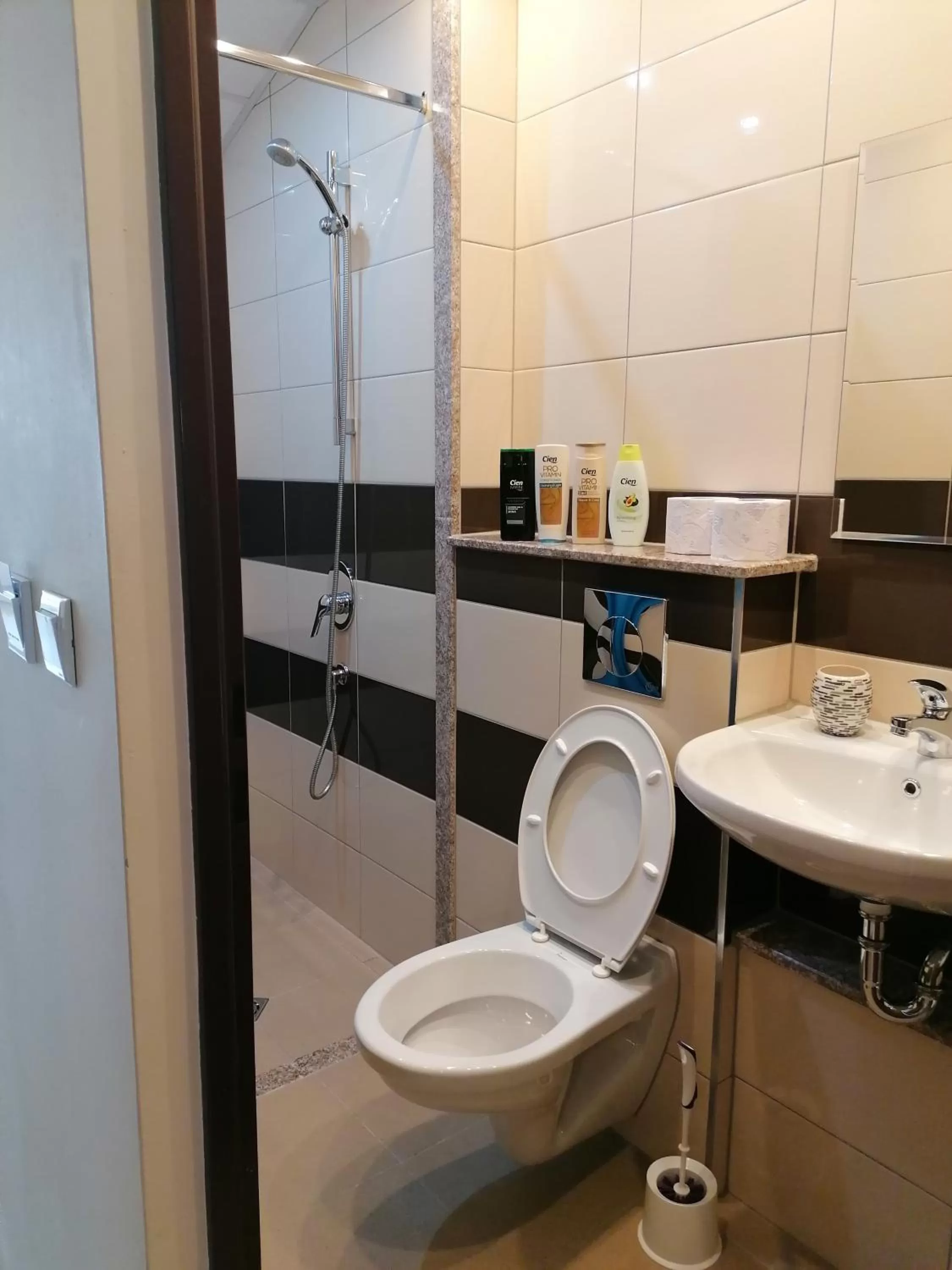 Bathroom in Hotel Lago Peshtera