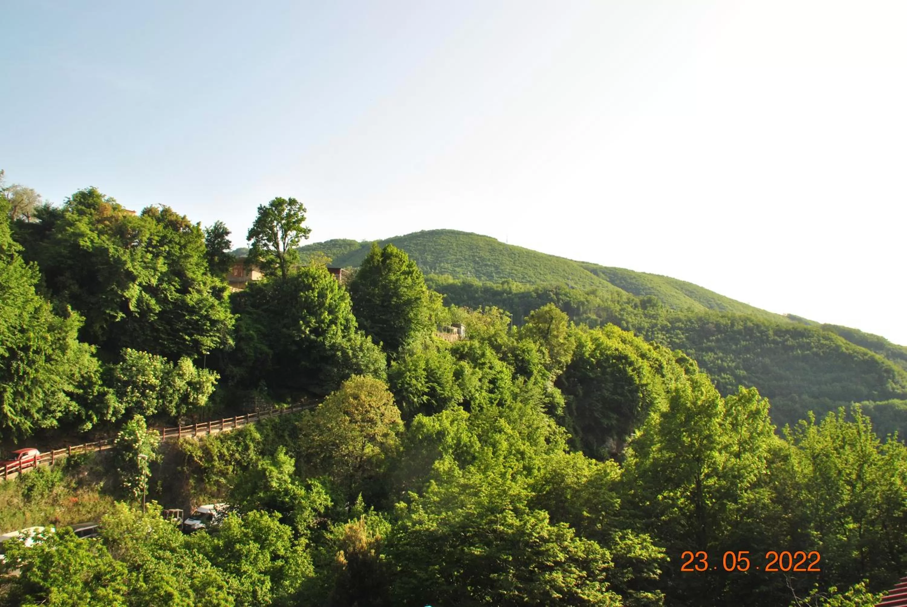 Natural landscape in B&B 40 Steps