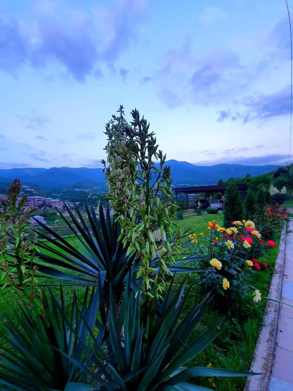 Spring in Guest House Ijevan's Garden