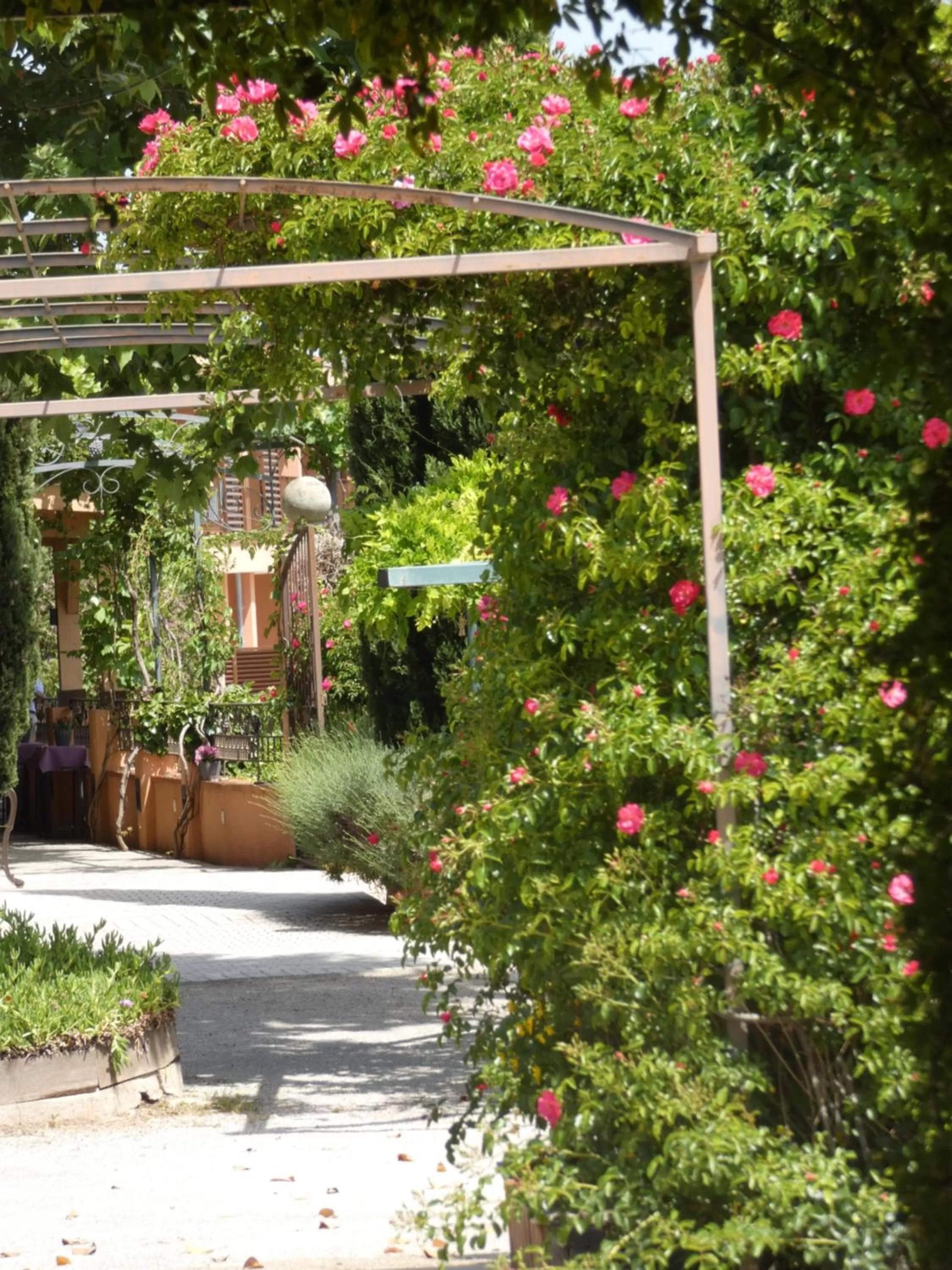 Garden in Le Mas du Lingousto