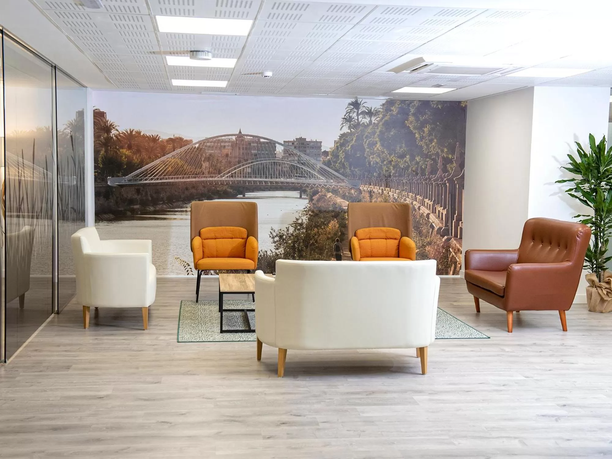 Area and facilities in Hotel Azahar