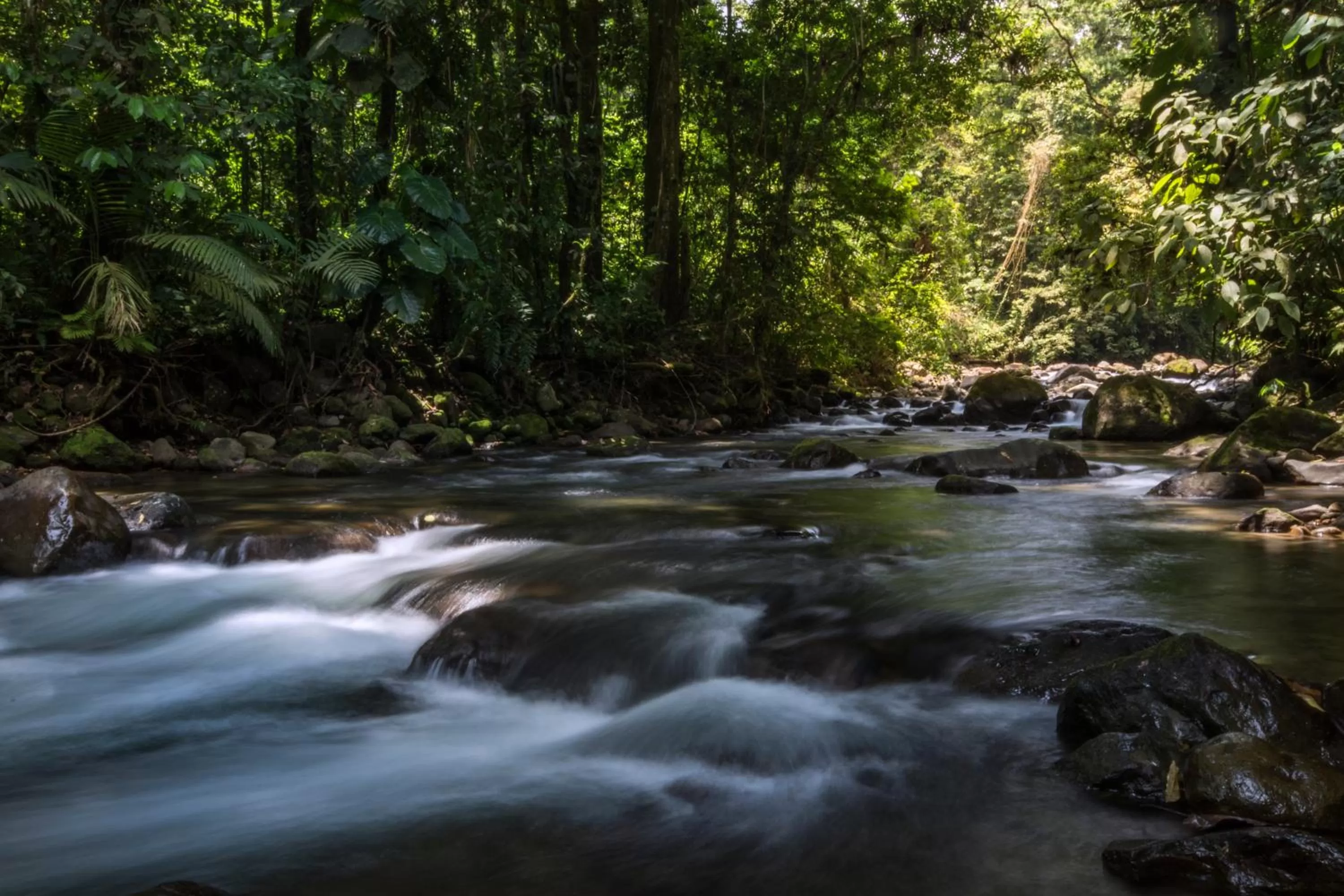 Natural landscape in Hotel Rancho Cerro Azul