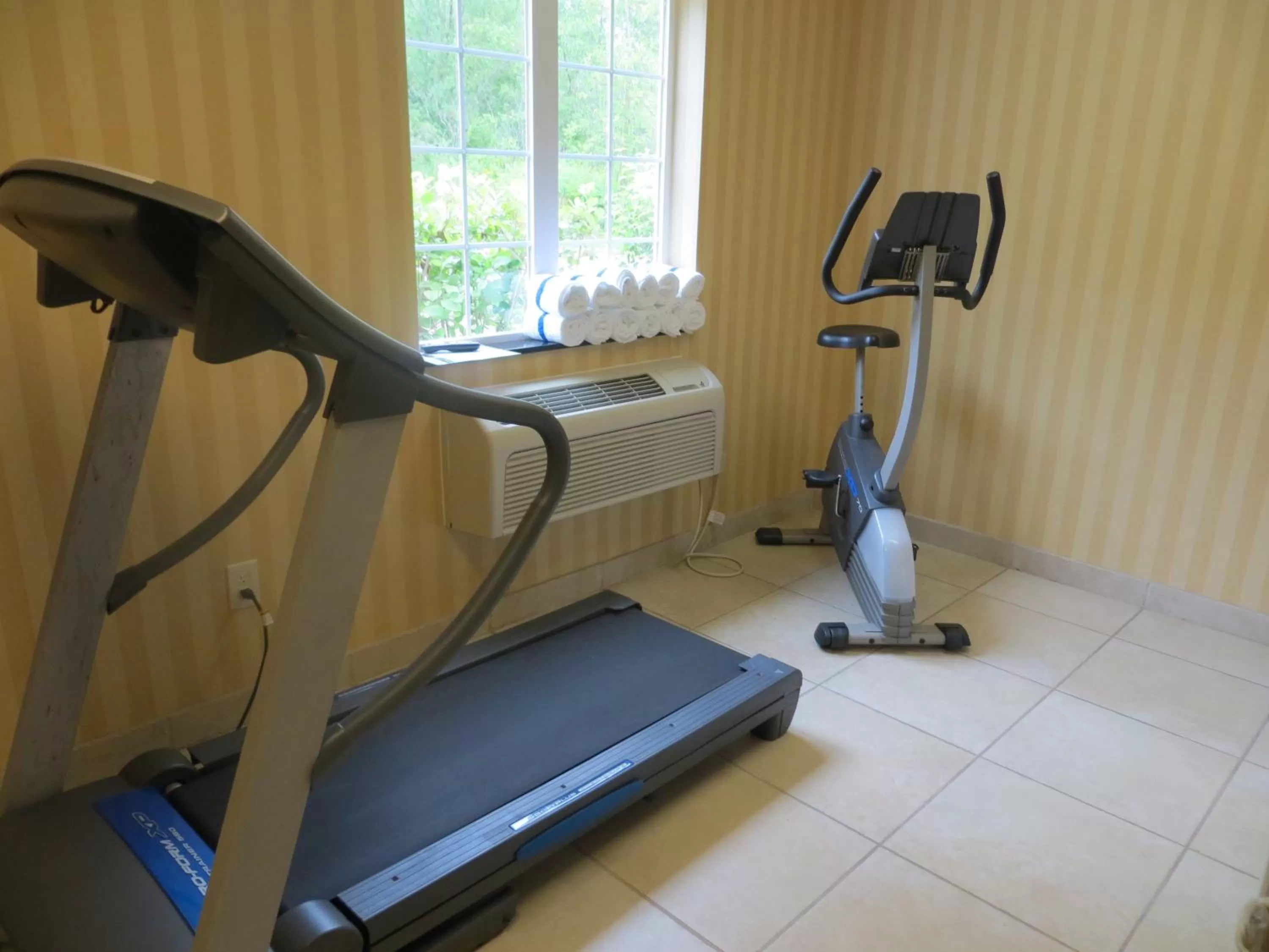 Fitness centre/facilities in Cobblestone Inn & Suites - Brillion