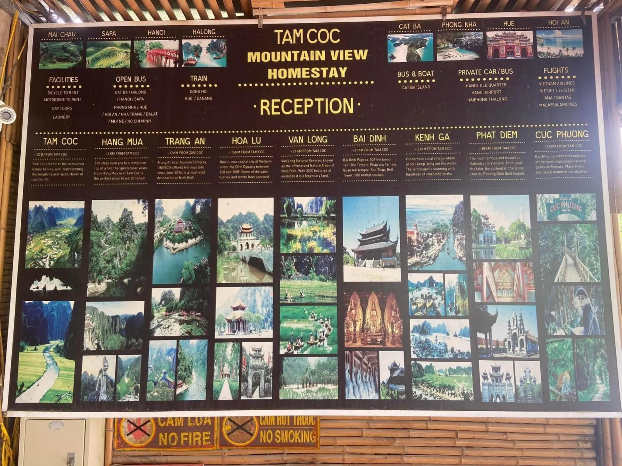 Tam Coc Mountain View Homestay