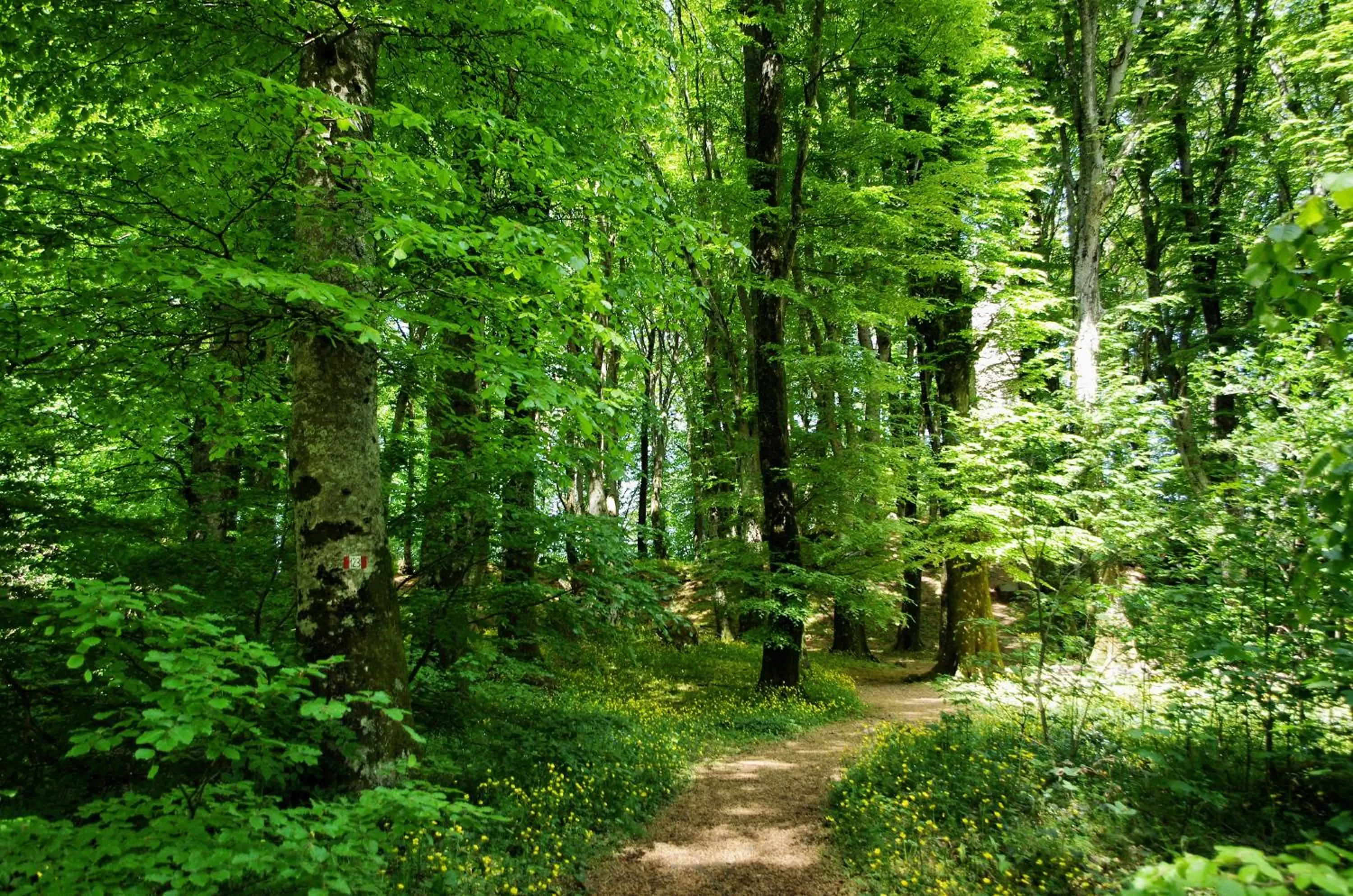 Natural landscape in Nazareth Residence