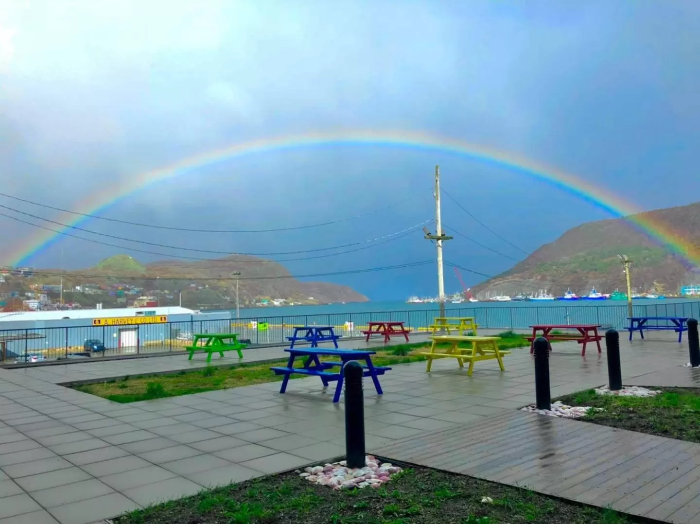 Patio in Alt Hotel St. John's