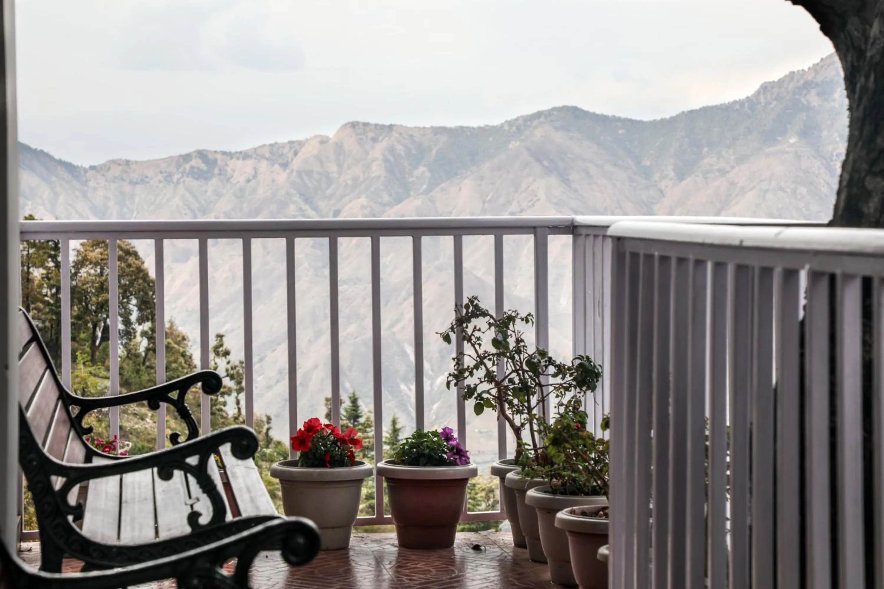 Patio in The Mountain Quail