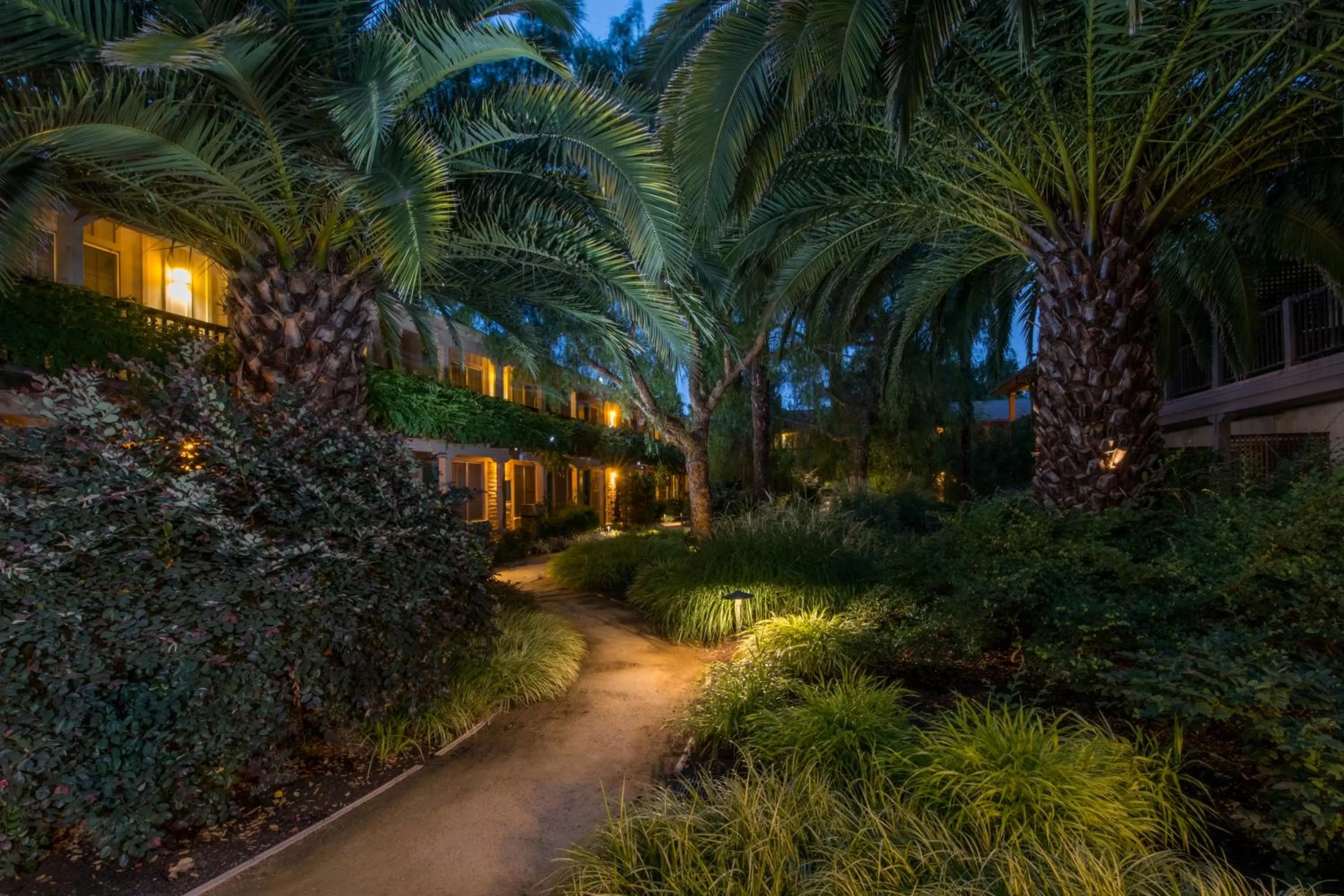 Garden in El Pueblo Inn