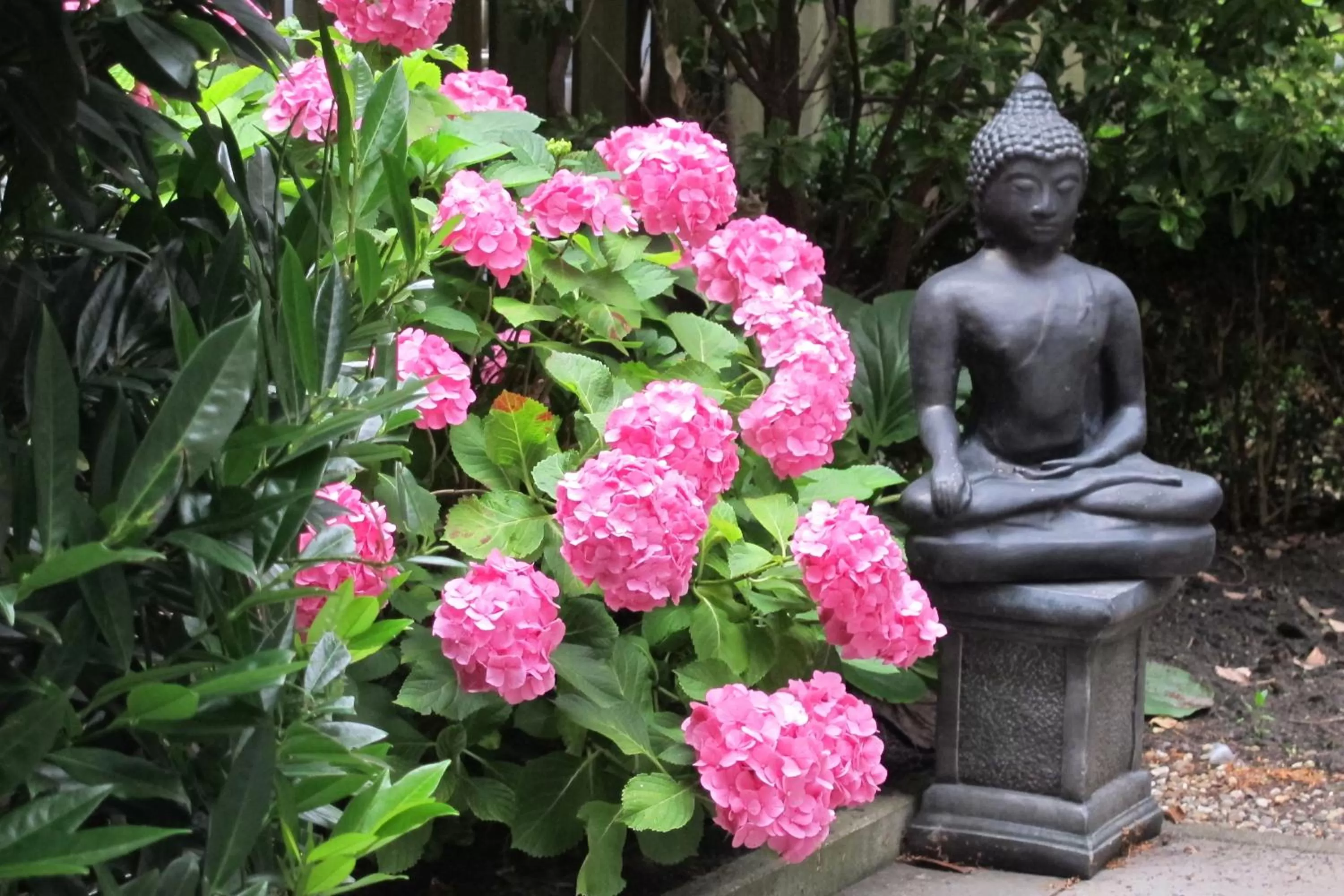 Garden in B&B West City Amsterdam