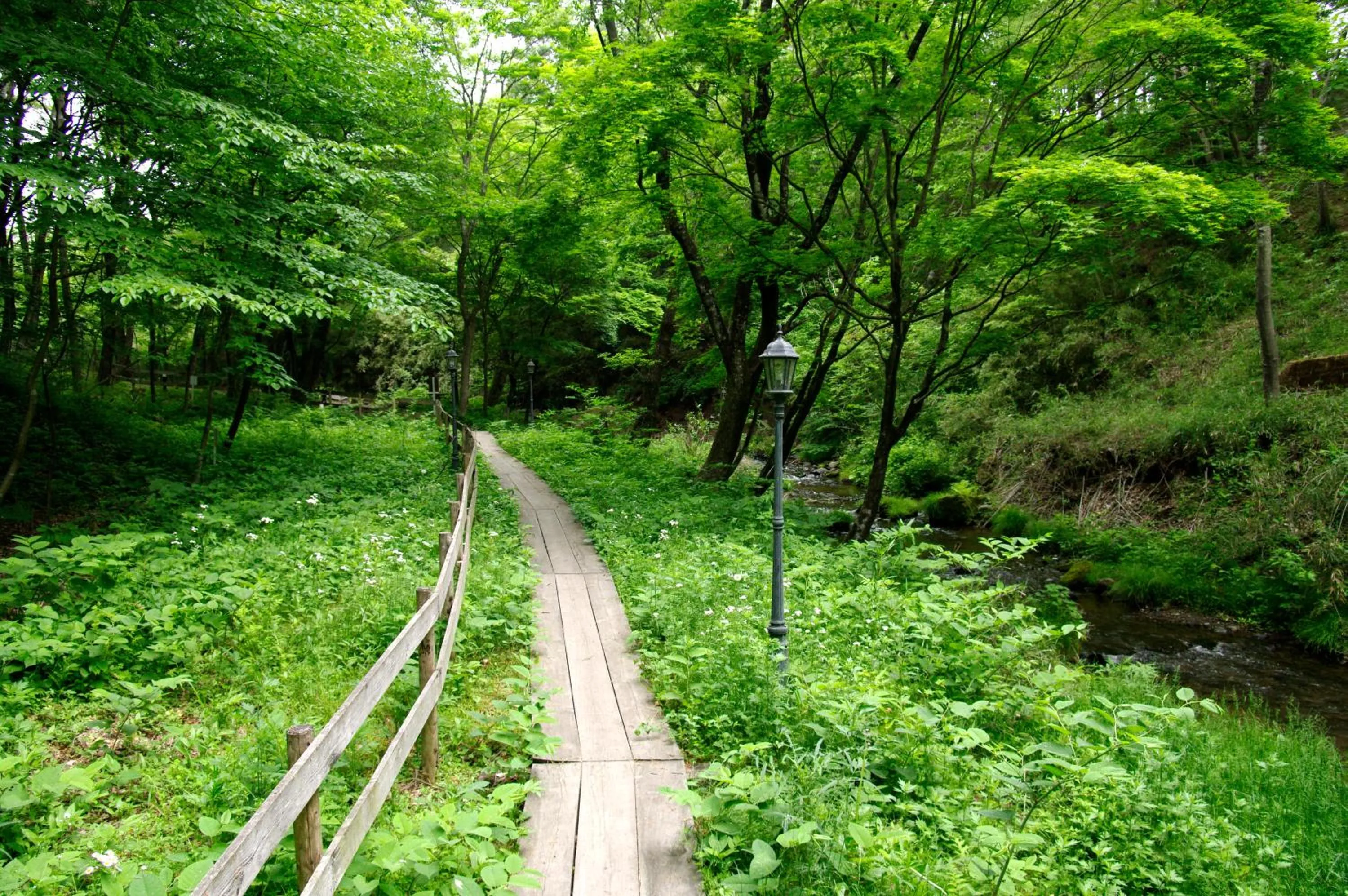 Decorative detail in Hotel Floracion Nasu