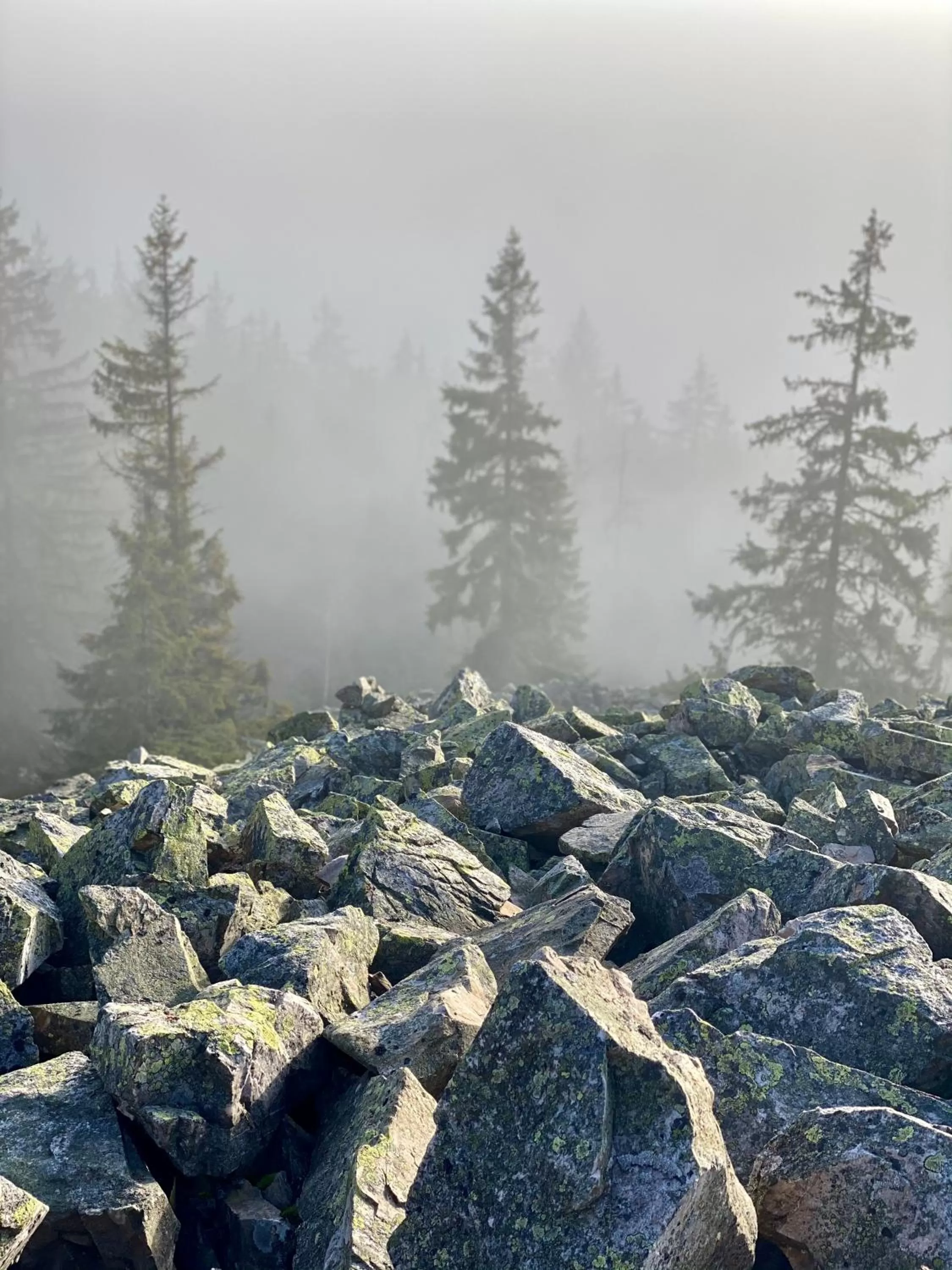 Natural landscape in Vila Jáchymov