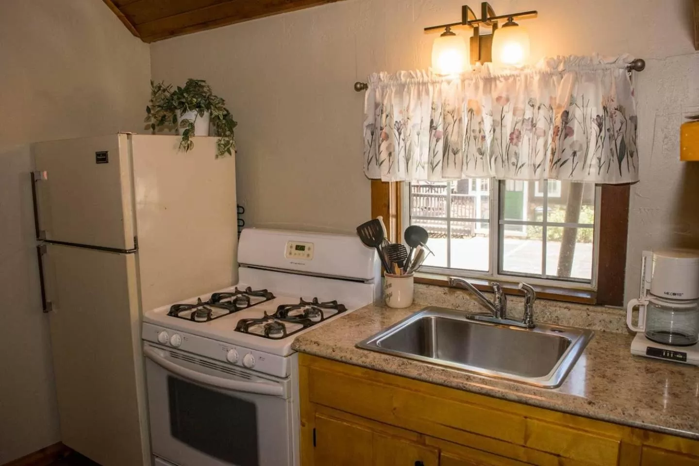 Kitchen or kitchenette in Black Forest Lodge