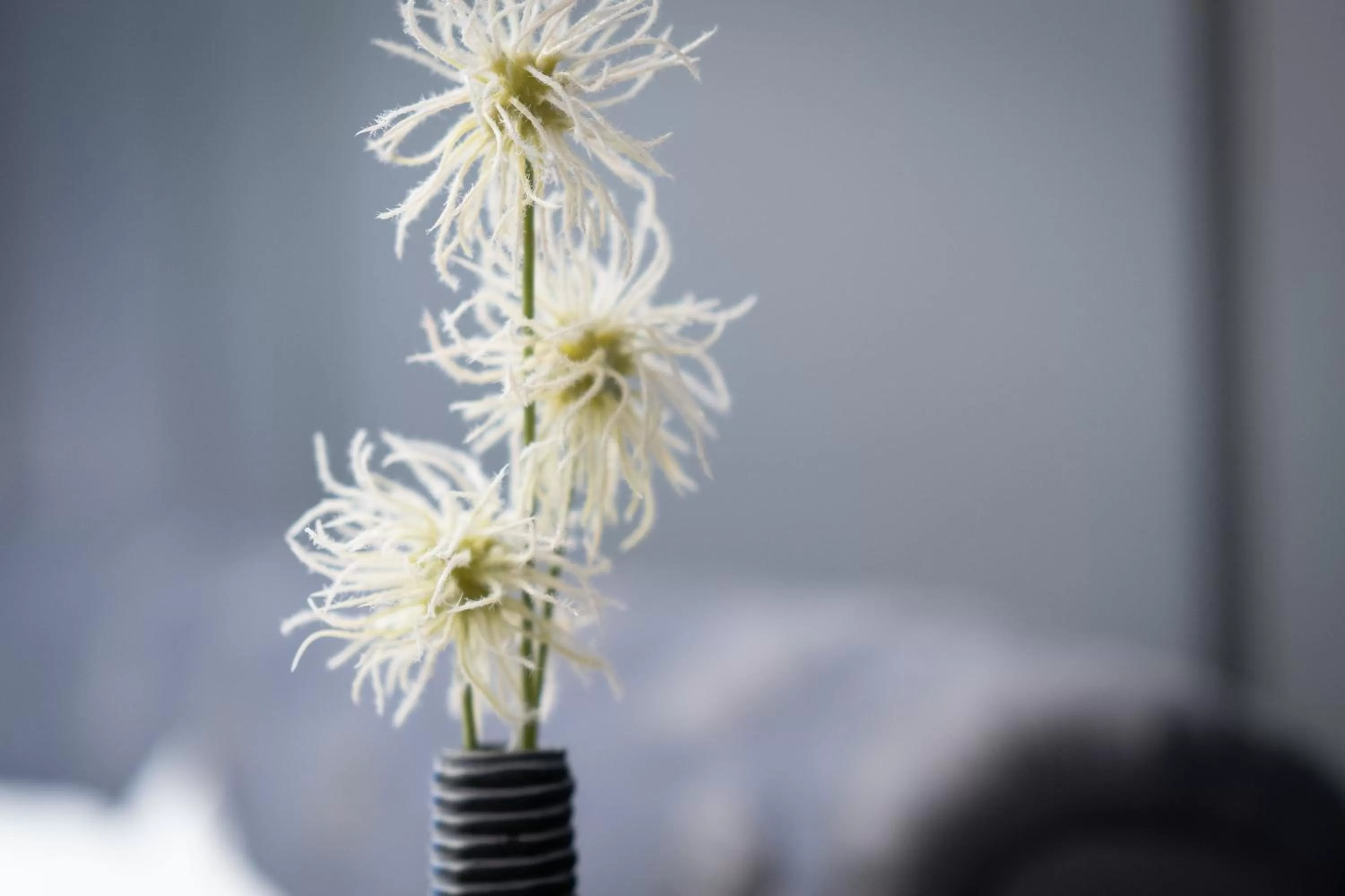 Decorative detail in Elysium Residence