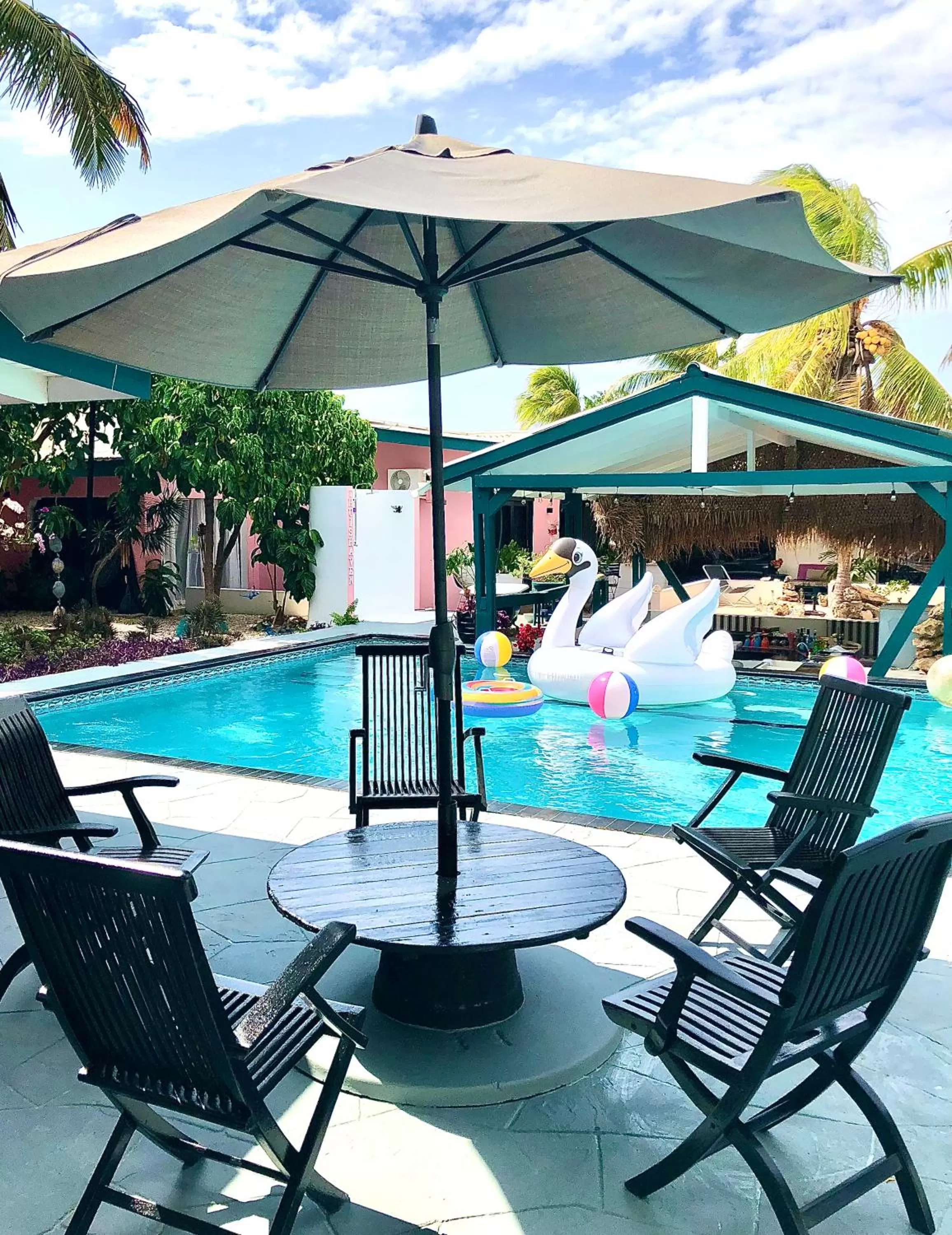 Swimming Pool in THUISHAVEN boutique mini-resort - fantastic garden and large pool - adults only