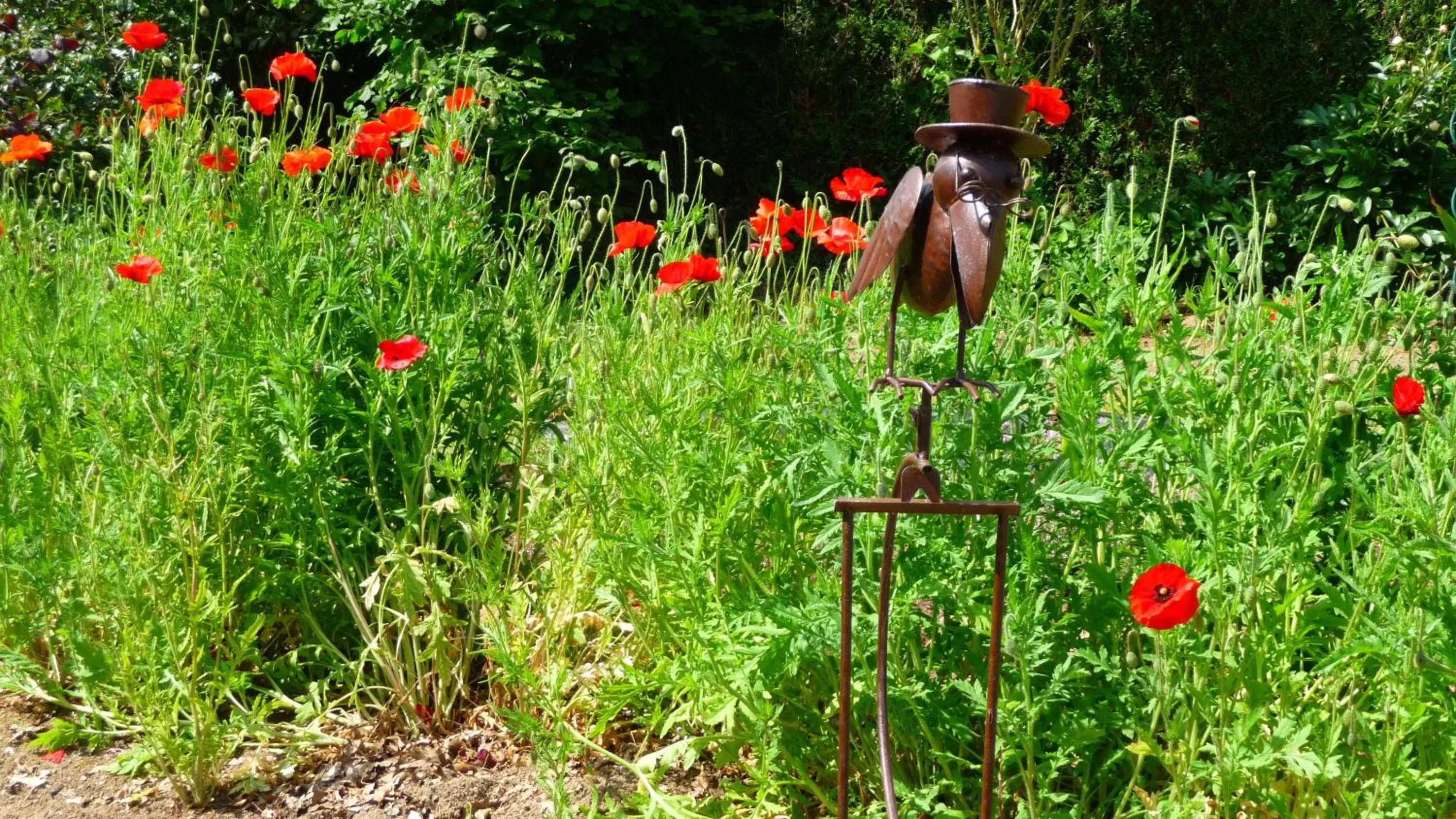 Garden view in Chambres d'hôtes Le Bas Rassinoux