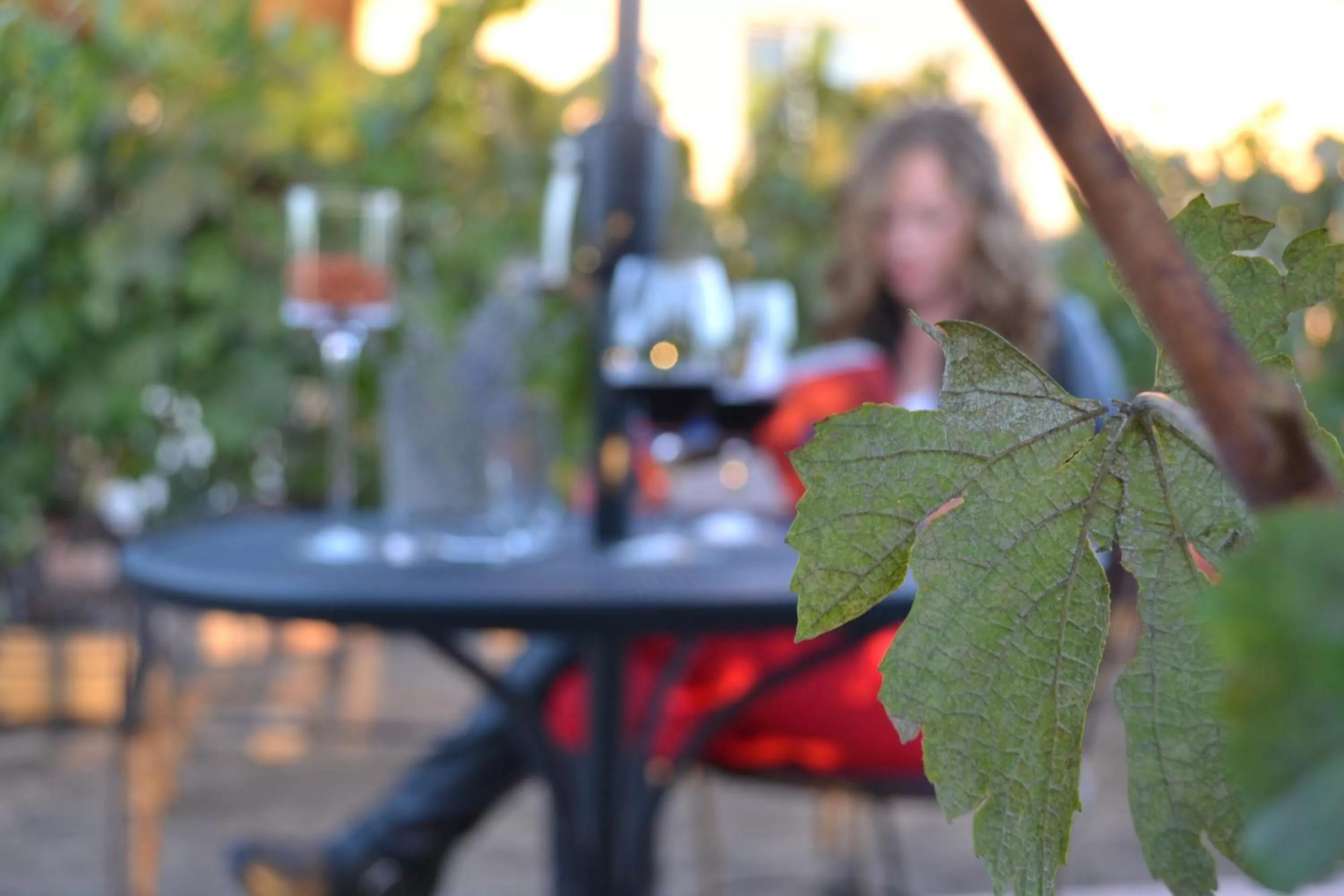 Day in Chardonnay Lodge