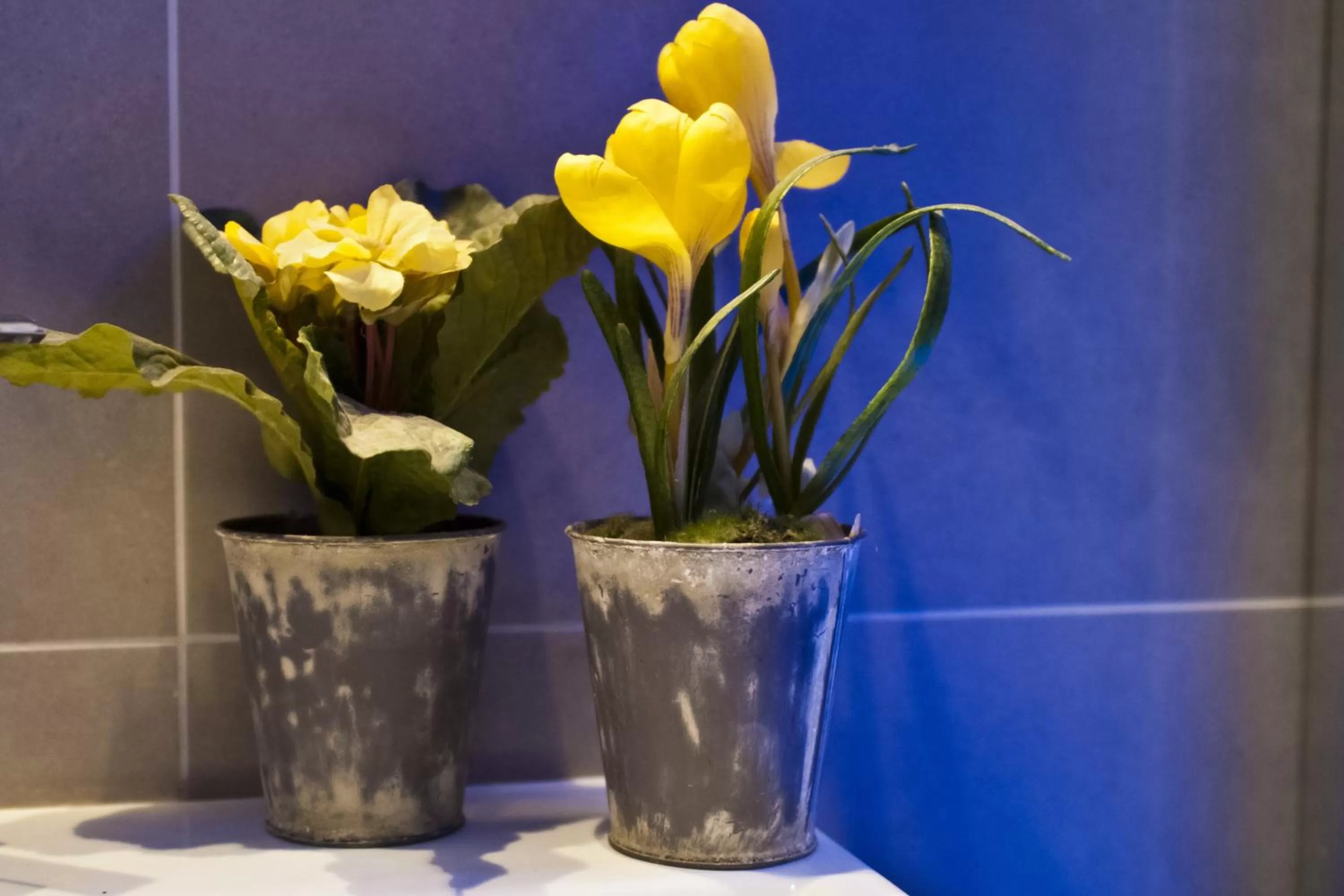 Bathroom in Domus Fontis