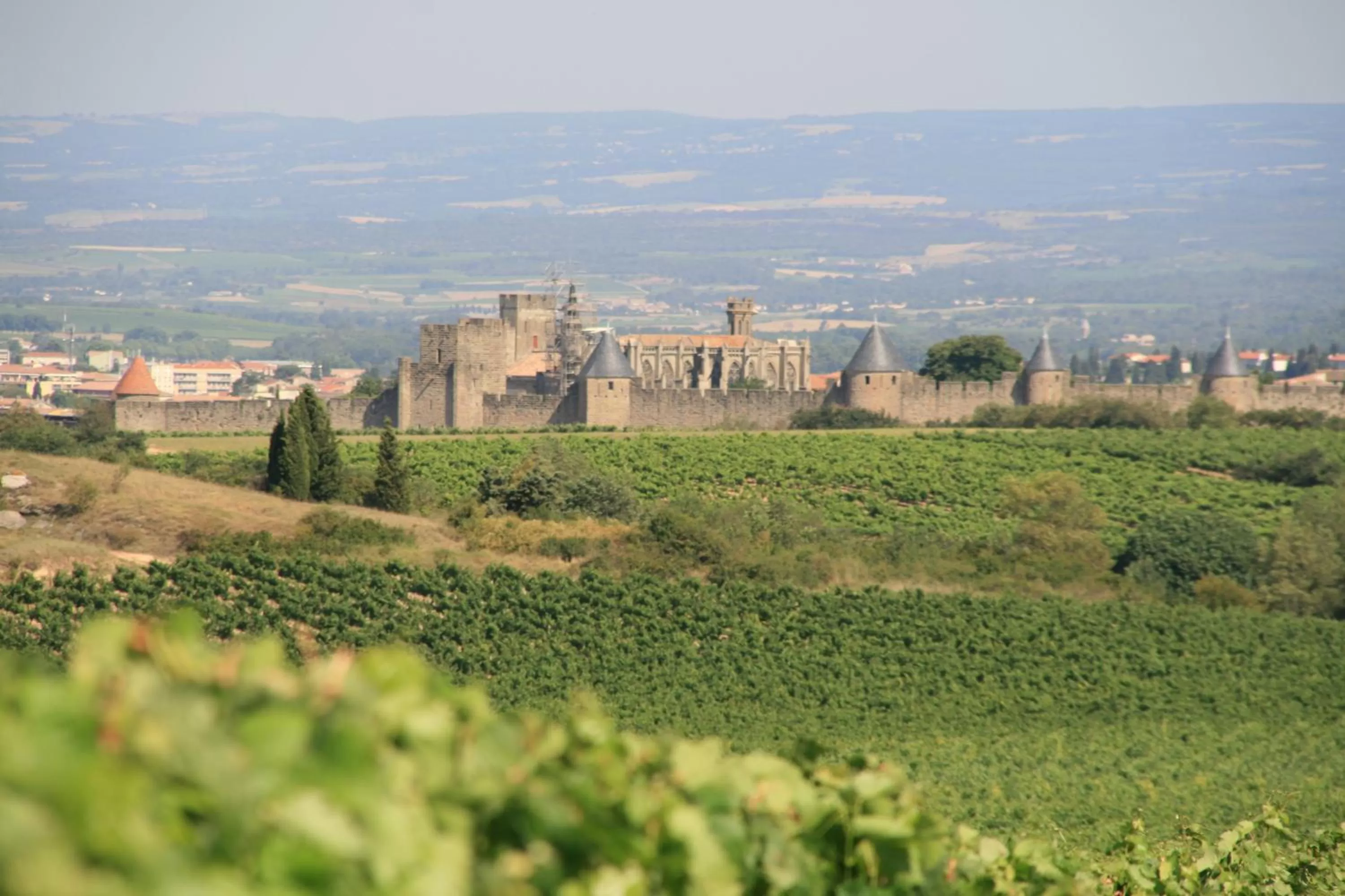 Area and facilities in La Maison sur la Colline