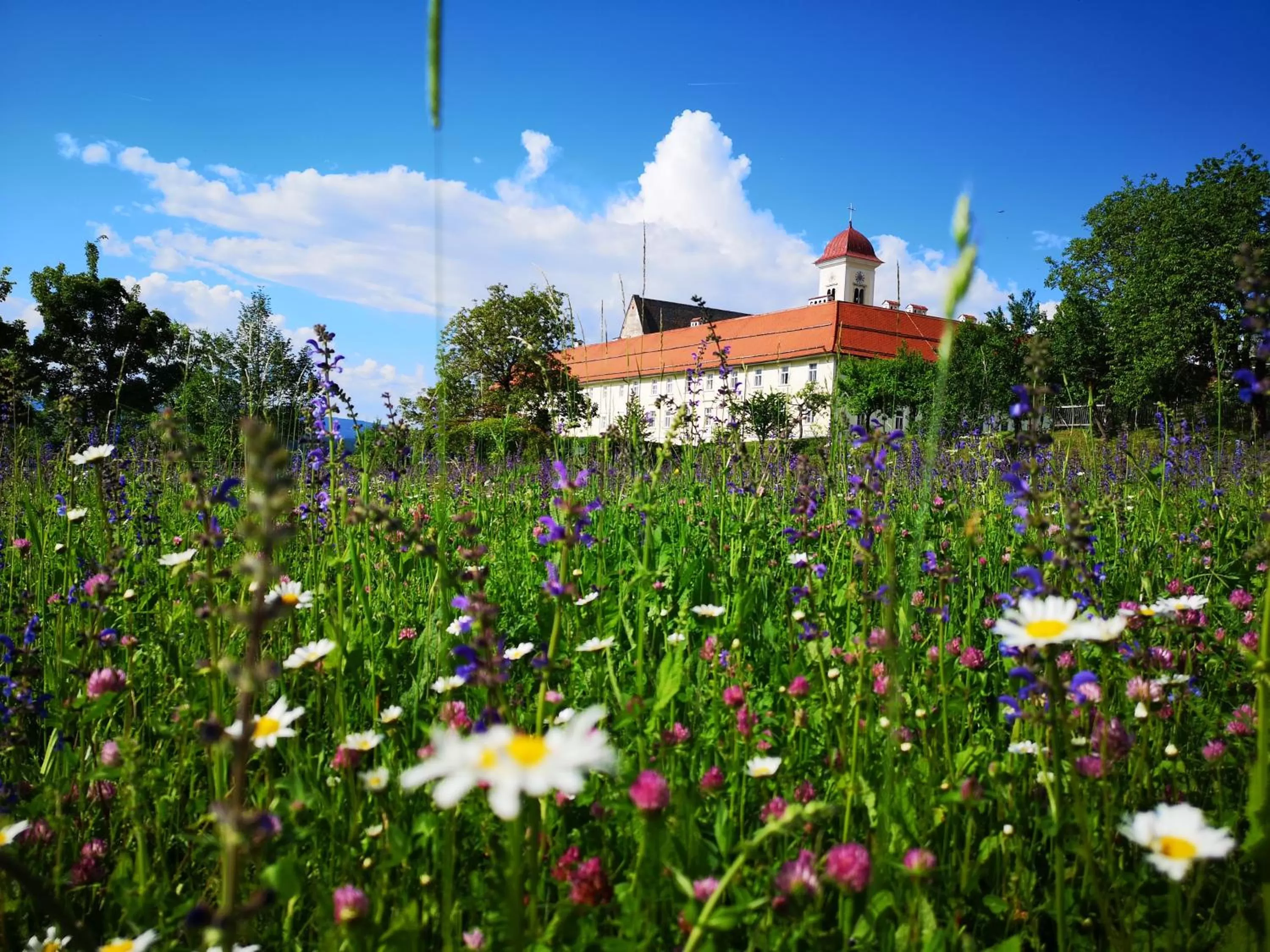 Property building in Stift St. Georgen am Längsee