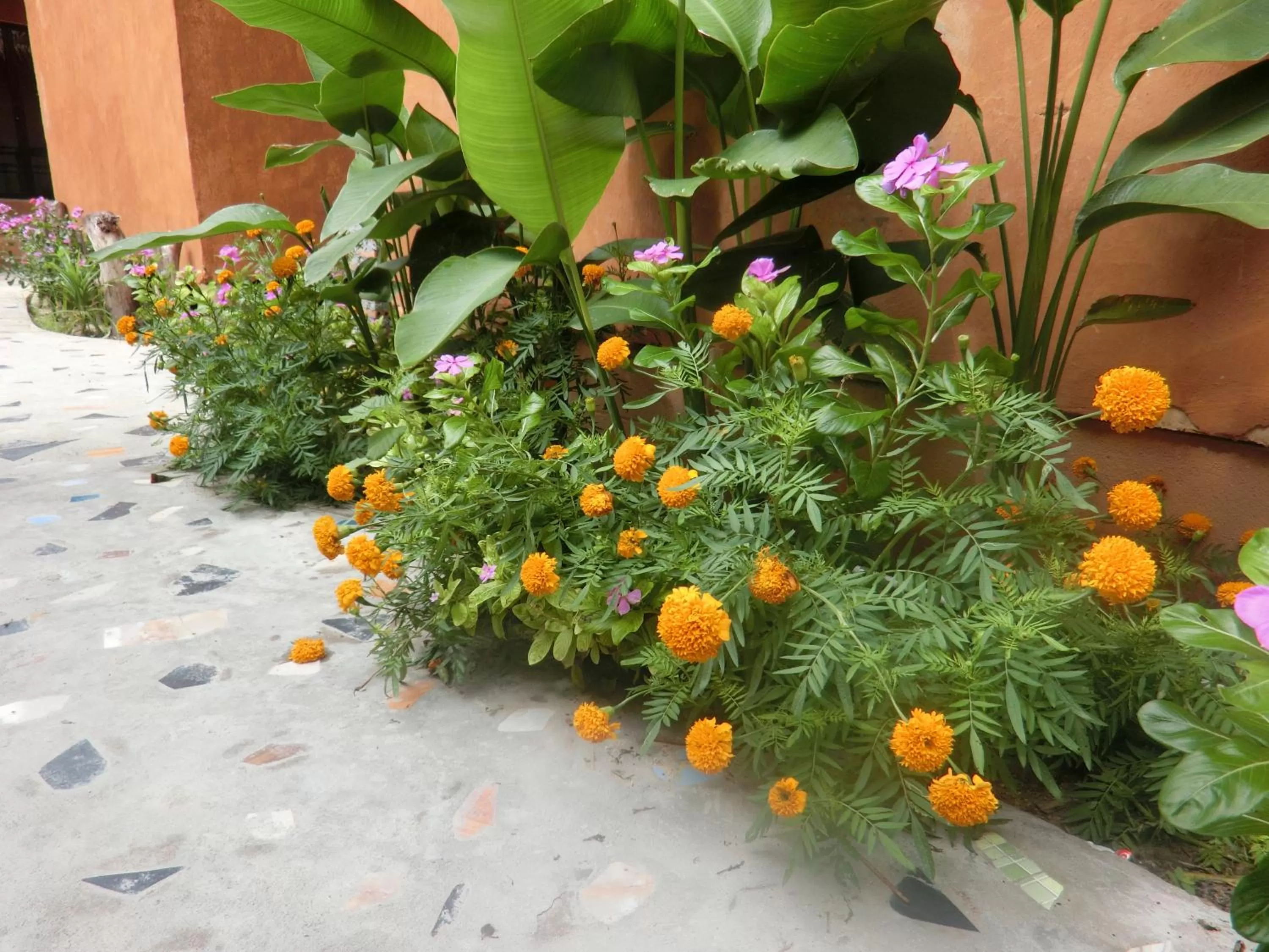 Garden in Panisara Pool Villa Resort Huahin