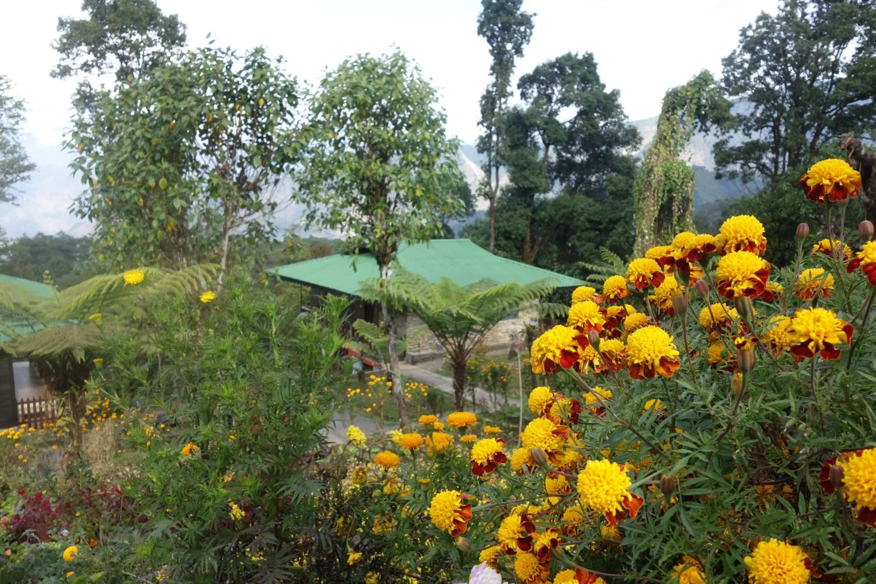 Property building, Garden in The Barfung Retreat