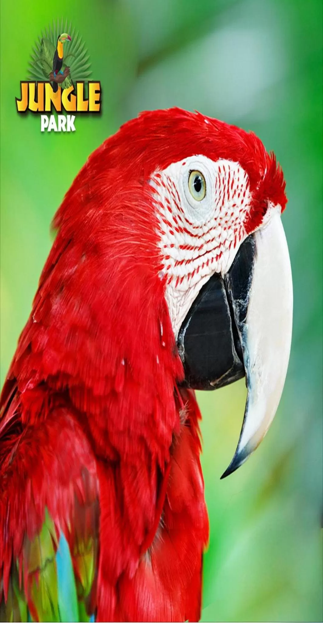 Animals in Vialand Palace Hotel