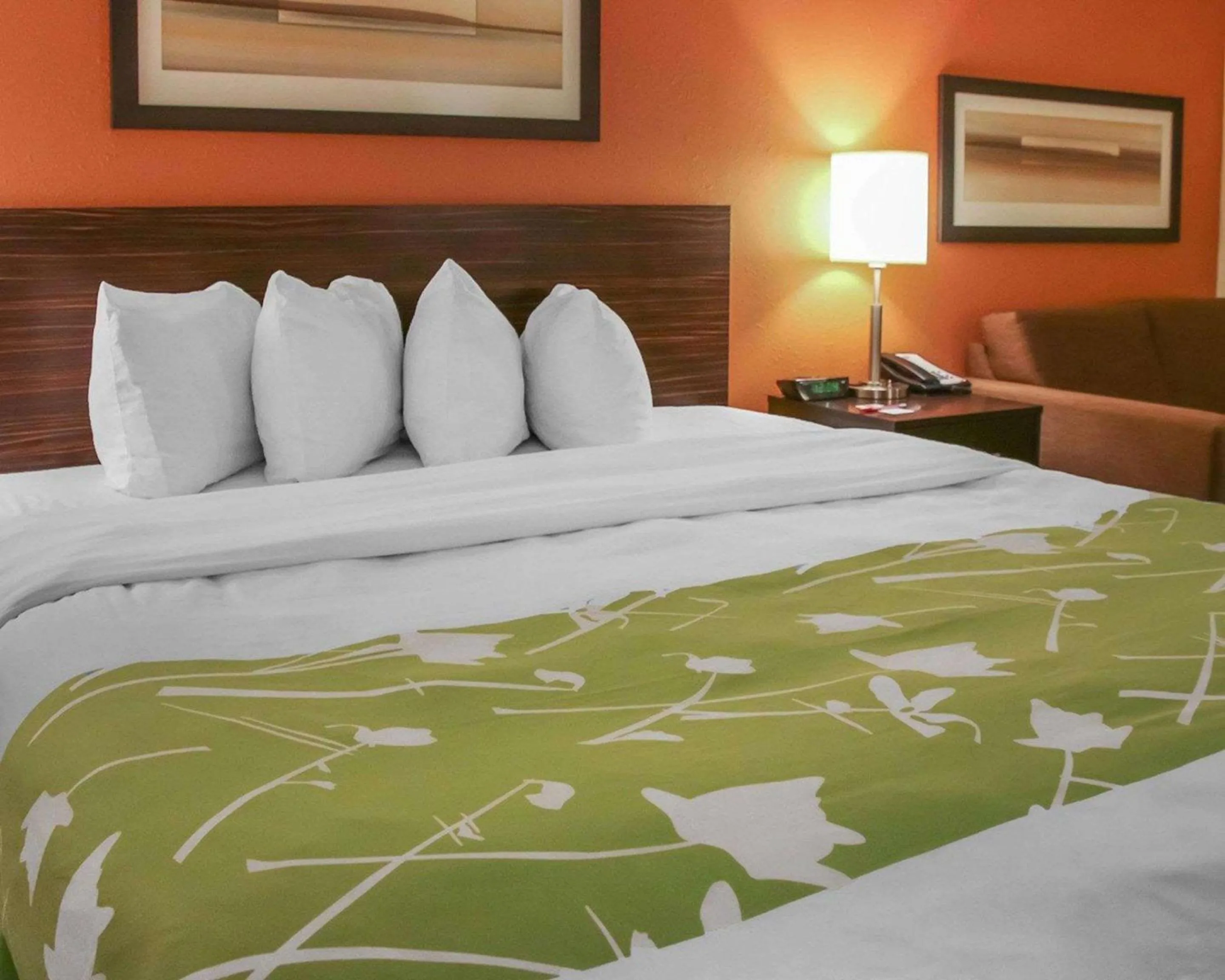 Photo of the whole room, Bed in Econo Lodge